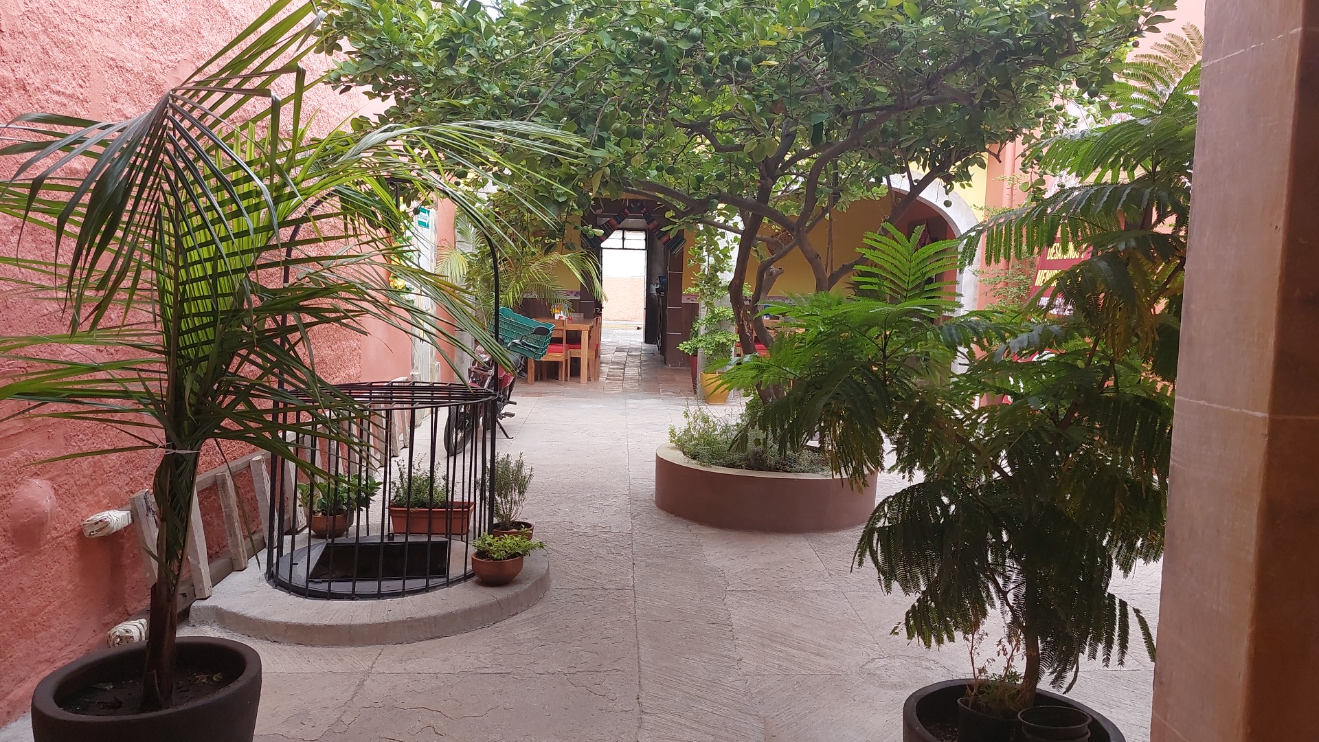 Mi Tenampa Birriería-Bar image 2