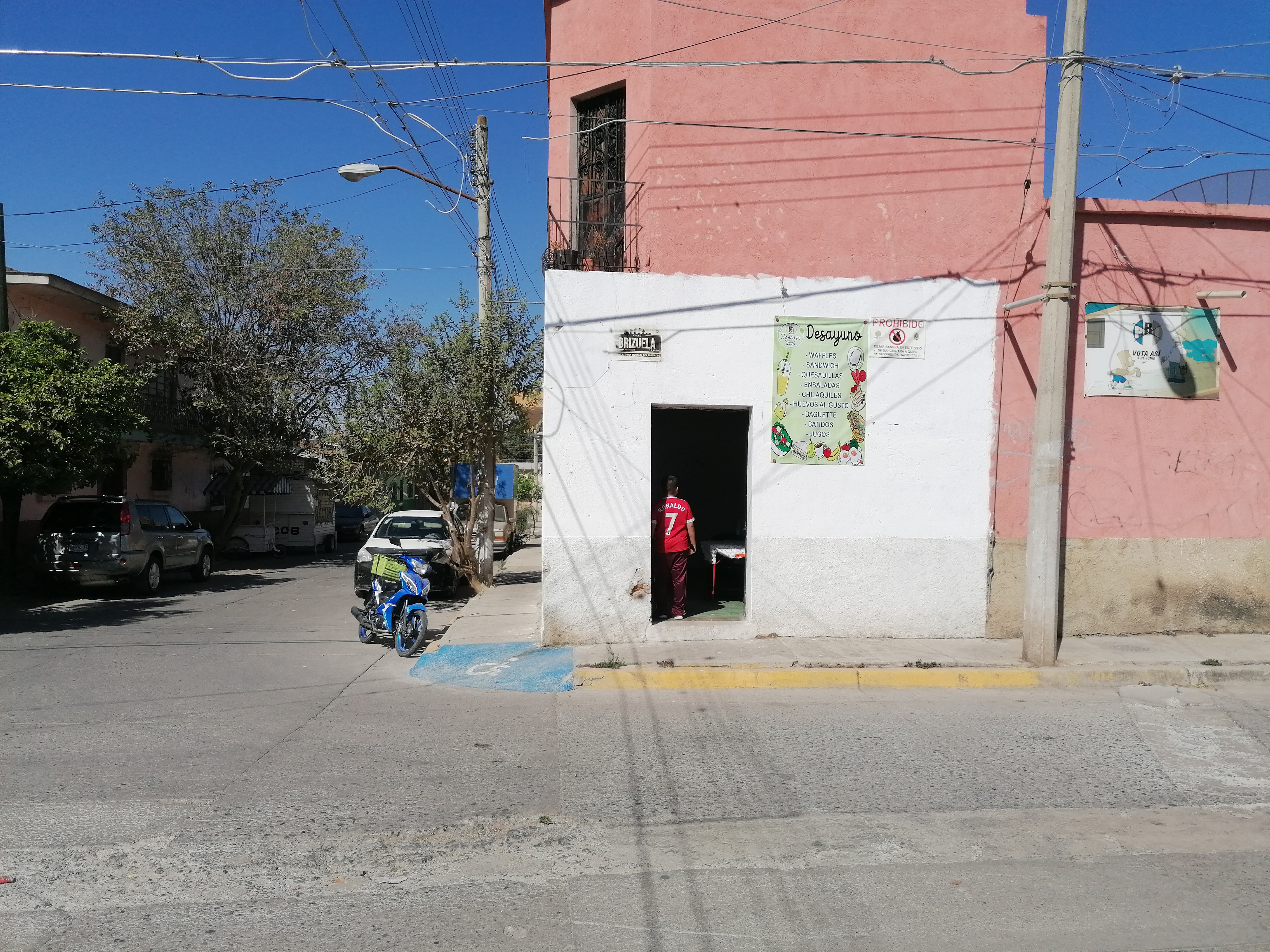 FOREVER SANO image 3