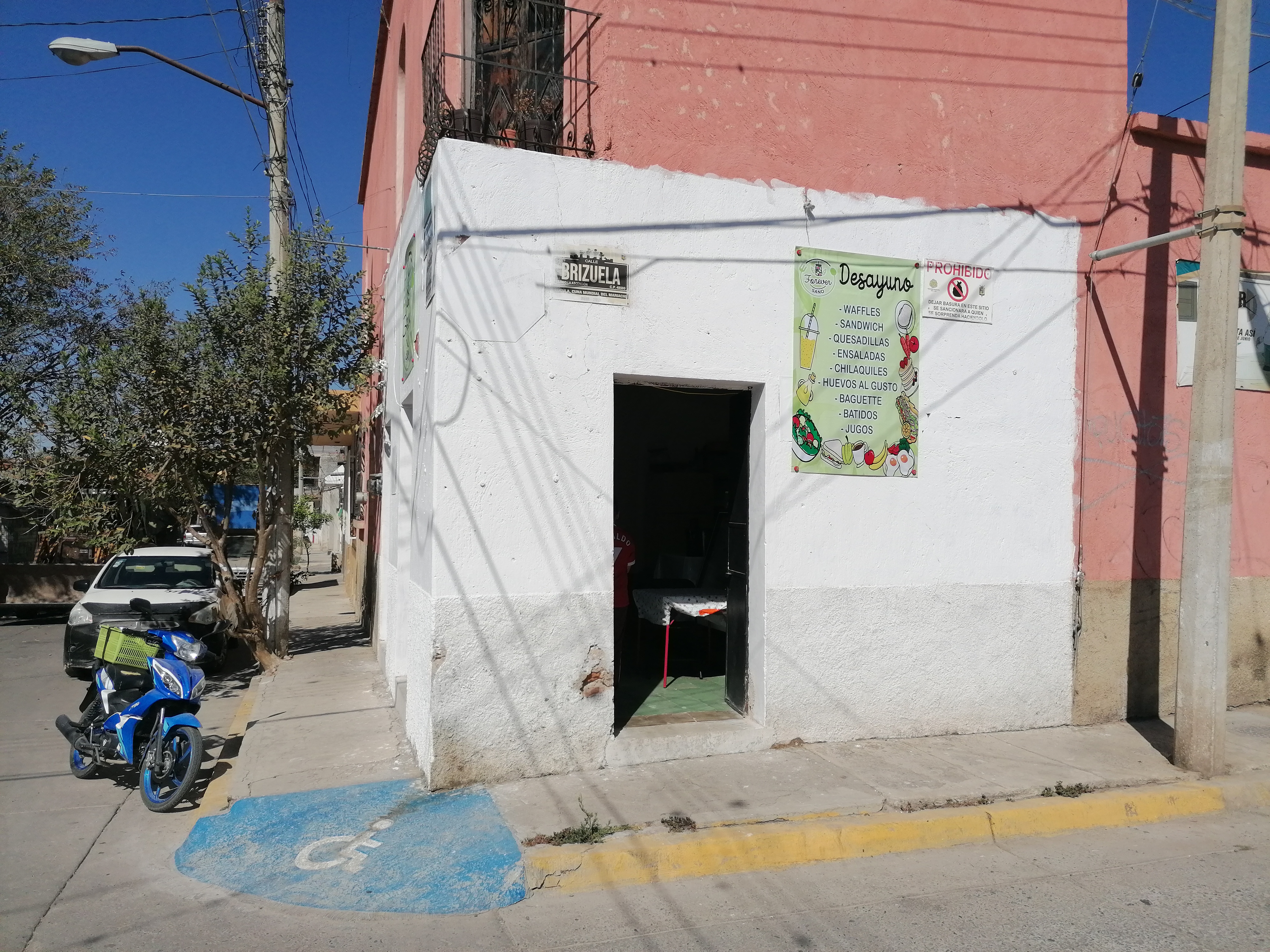 FOREVER SANO image 4