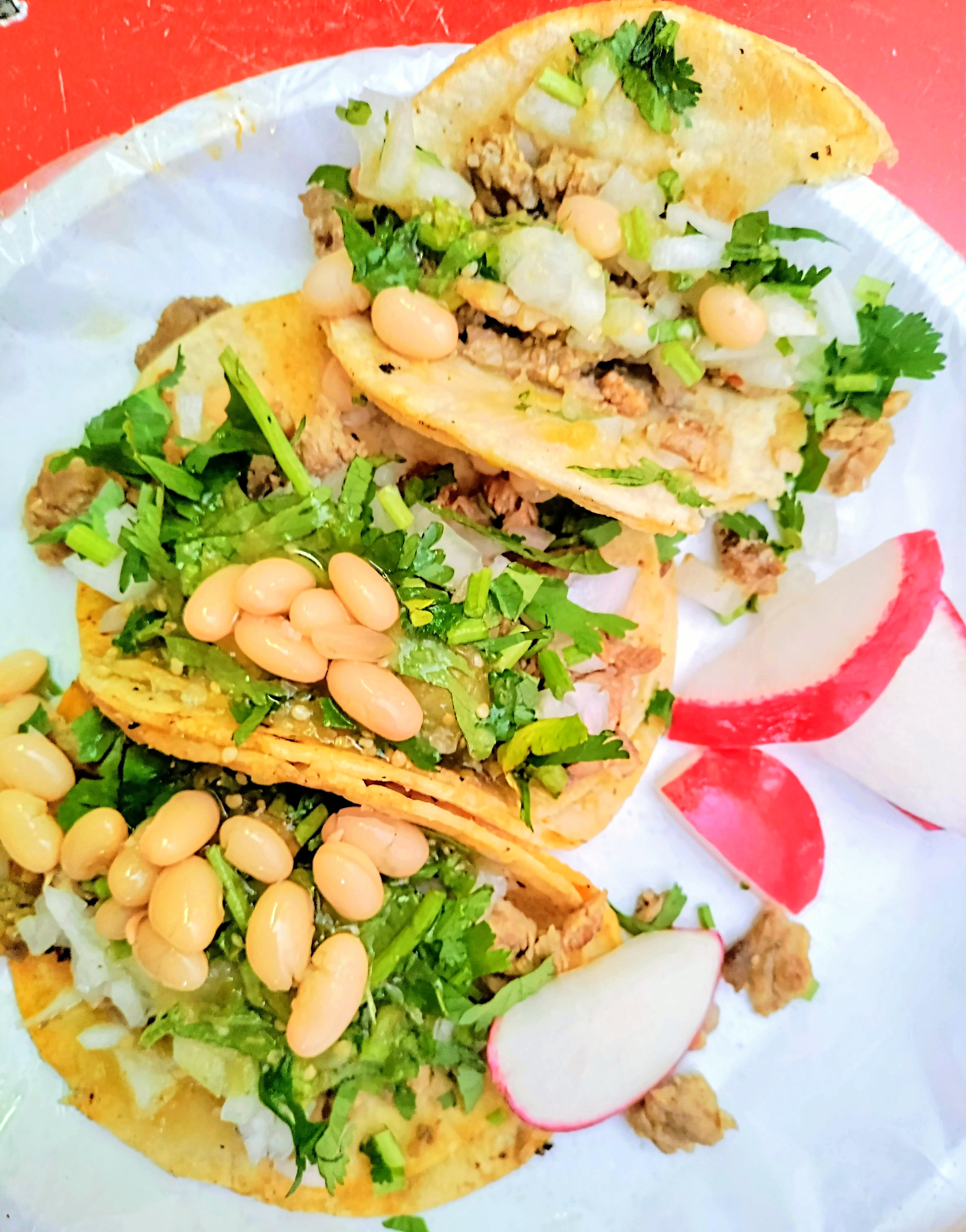 Para Hoy Los Tacos image 2