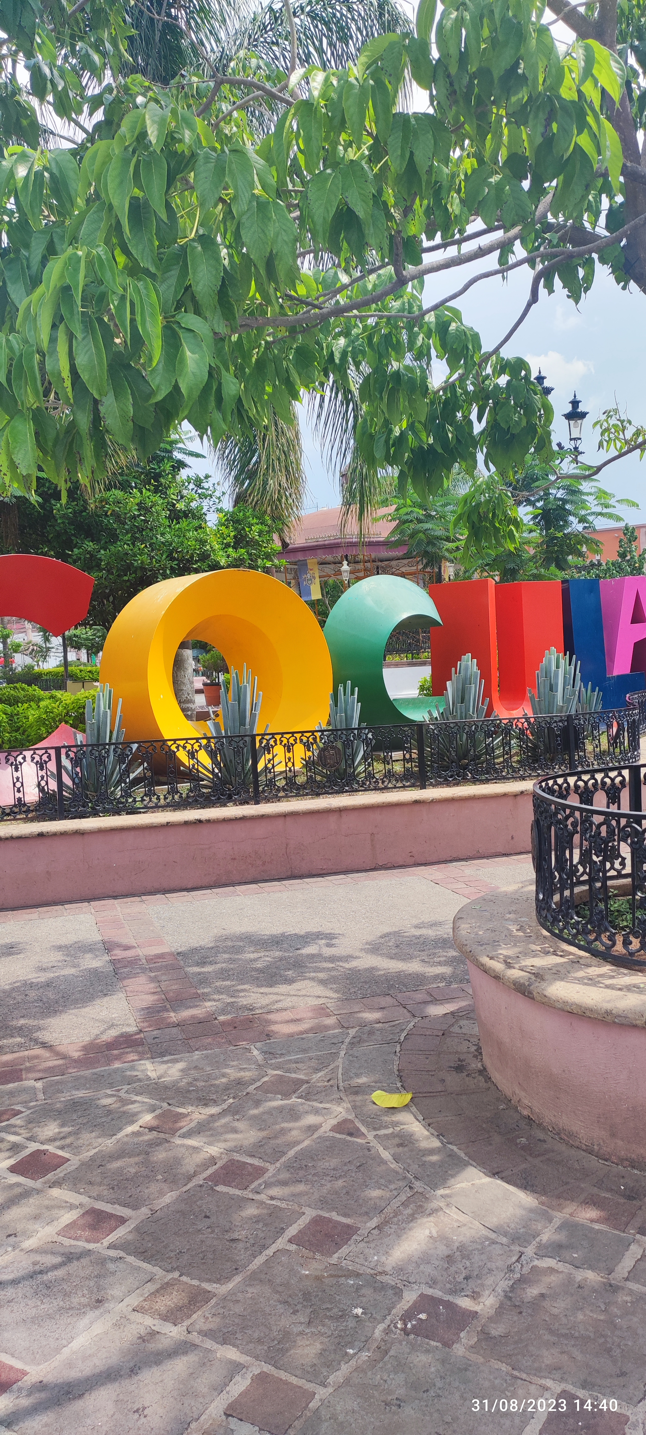 Para Hoy Los Tacos image 5