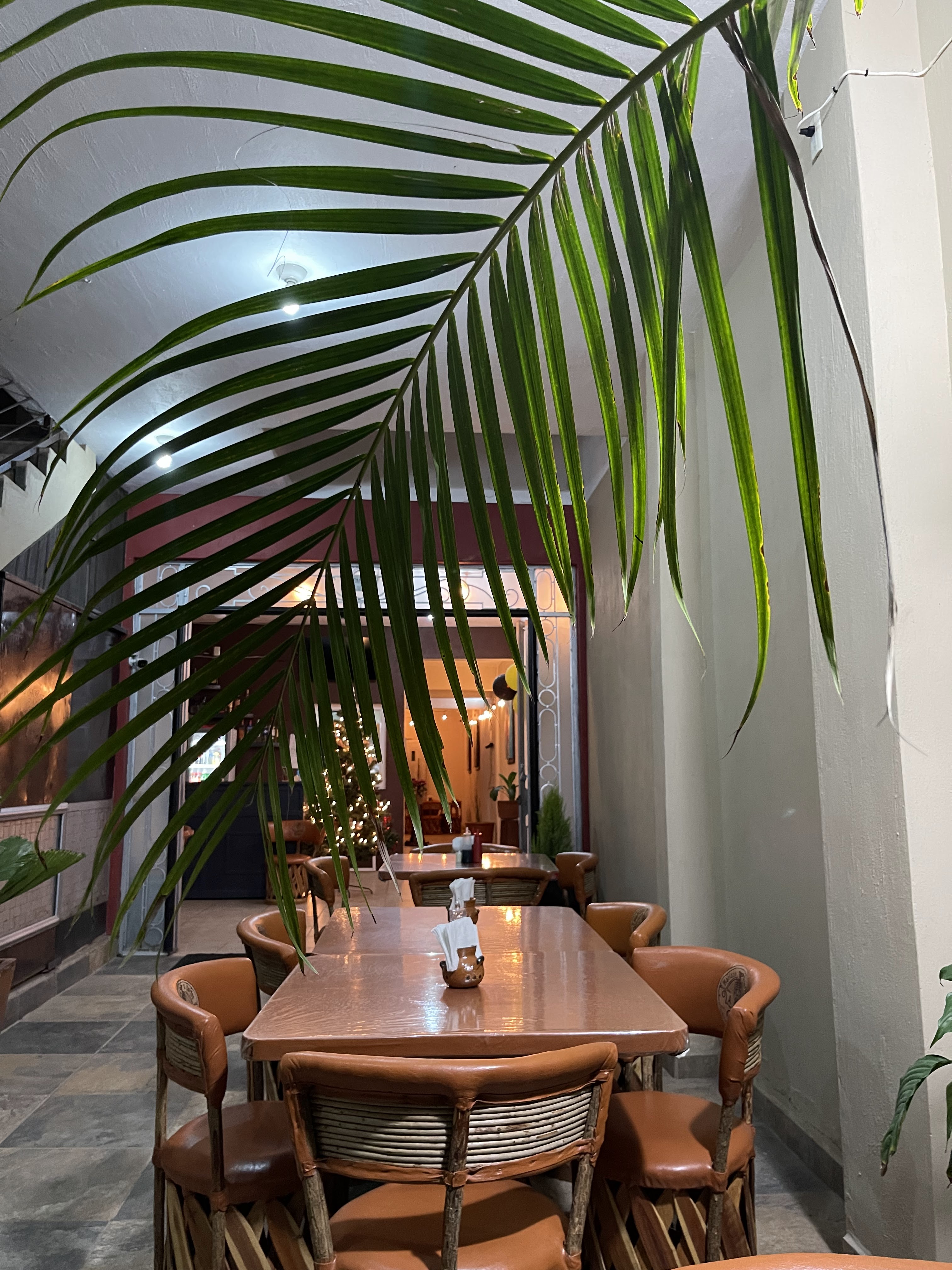 Machi Cocula image 1