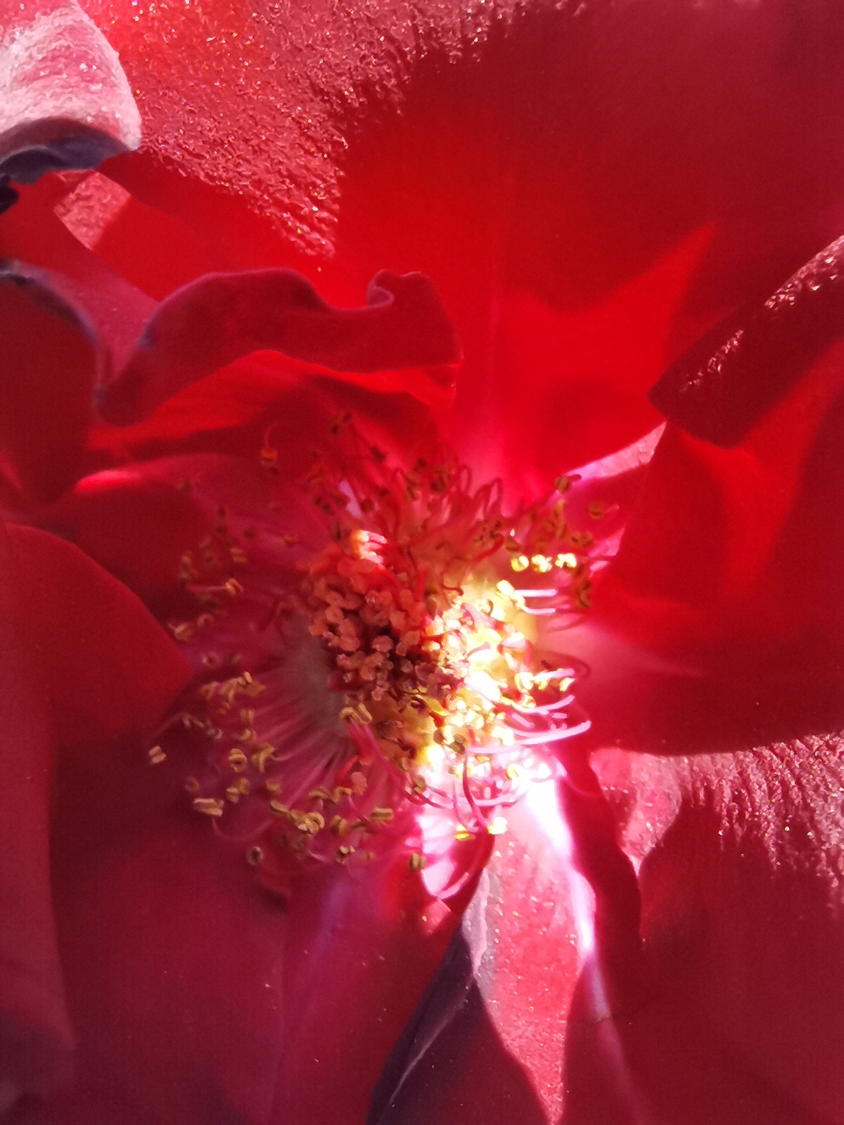 Taqueria Los muchachos en progreso image 6