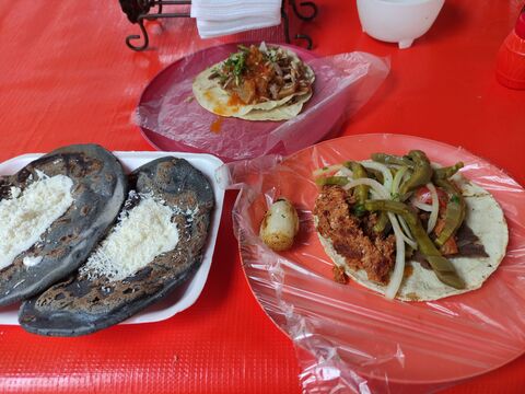 Tianguis De Cecina, Progreso image 1