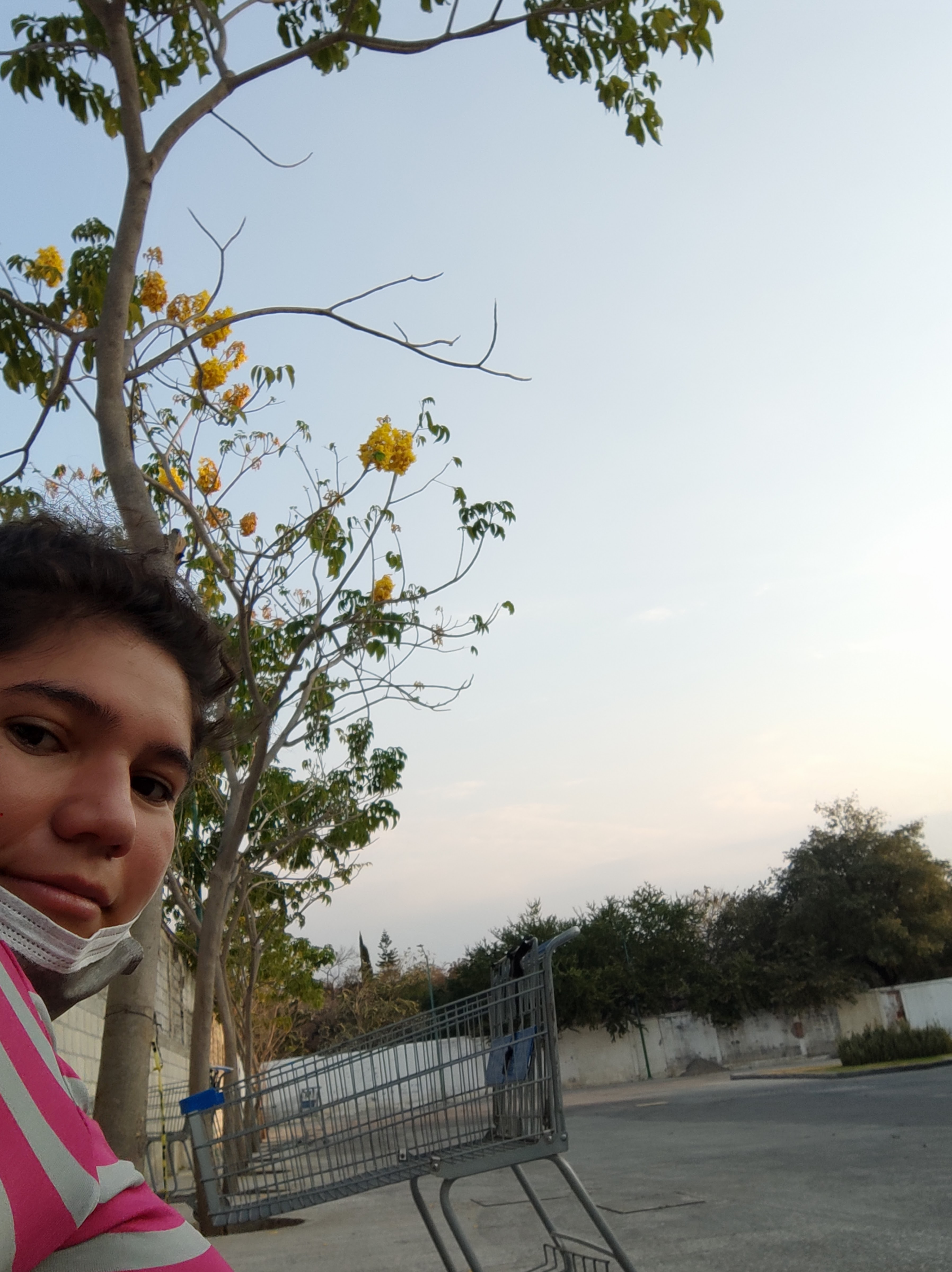 Domino's Jiutepec image 3