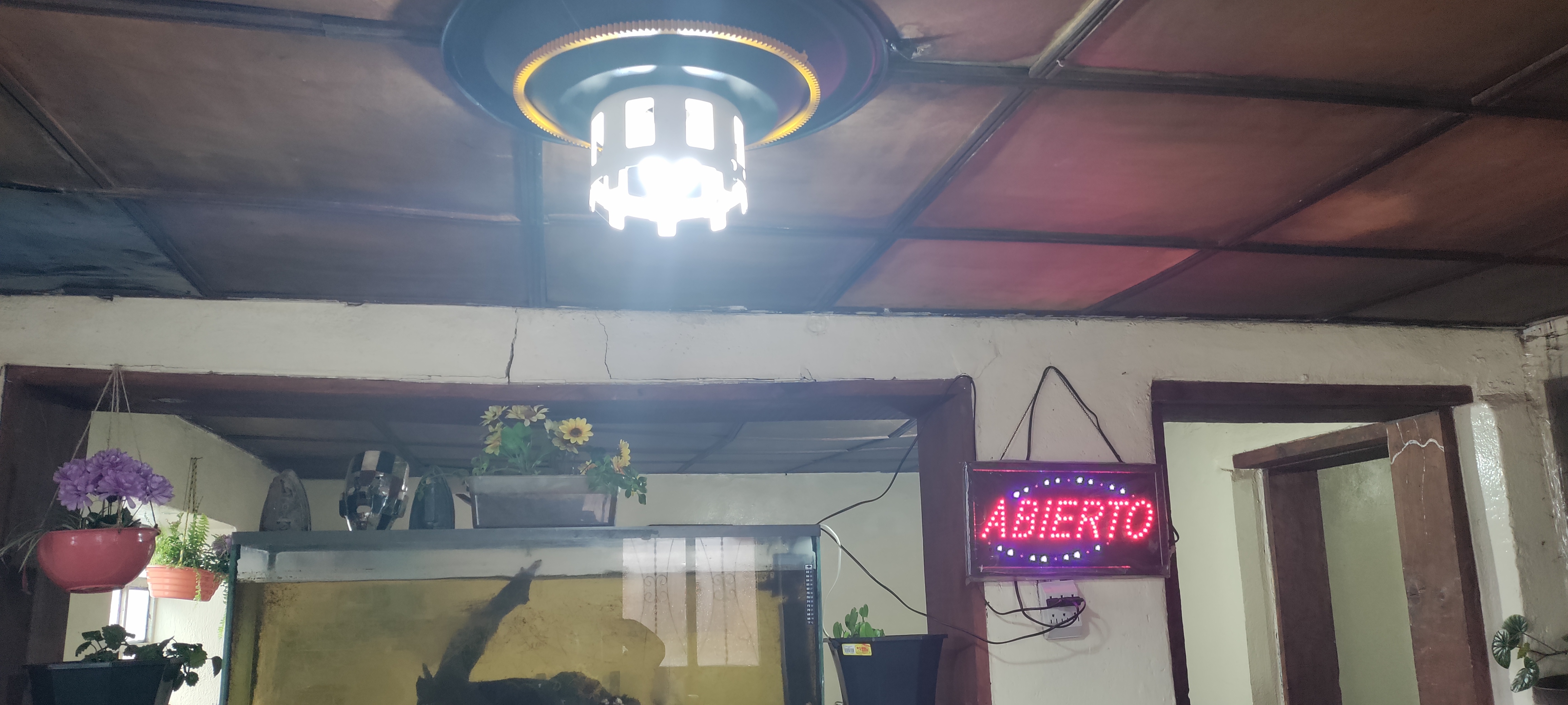 Restaurante El Rinconcito image 5