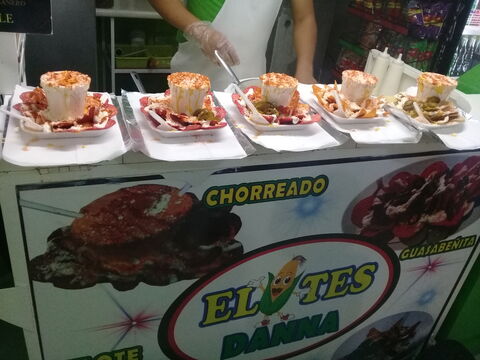 Elotes Danna image 5