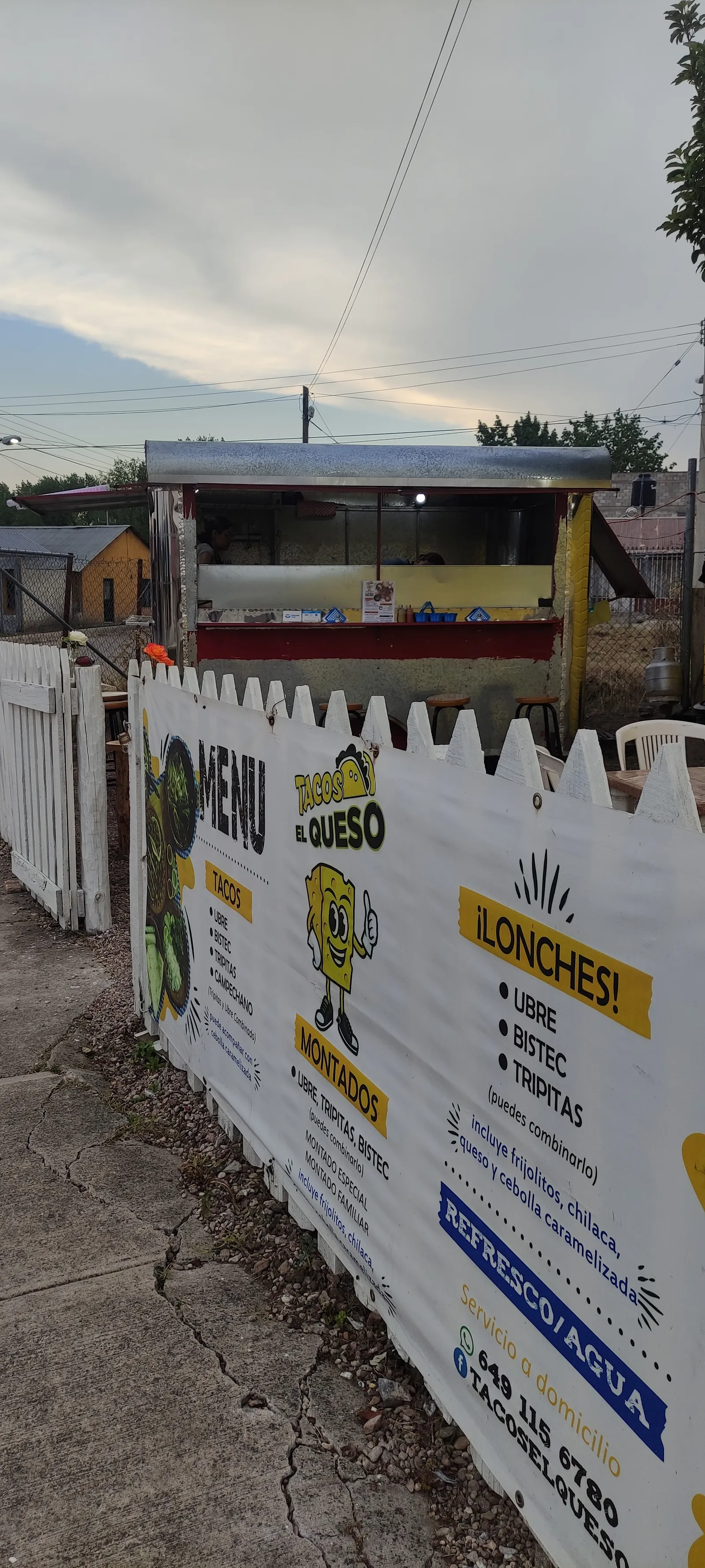 Tacos "El Queso" image 6