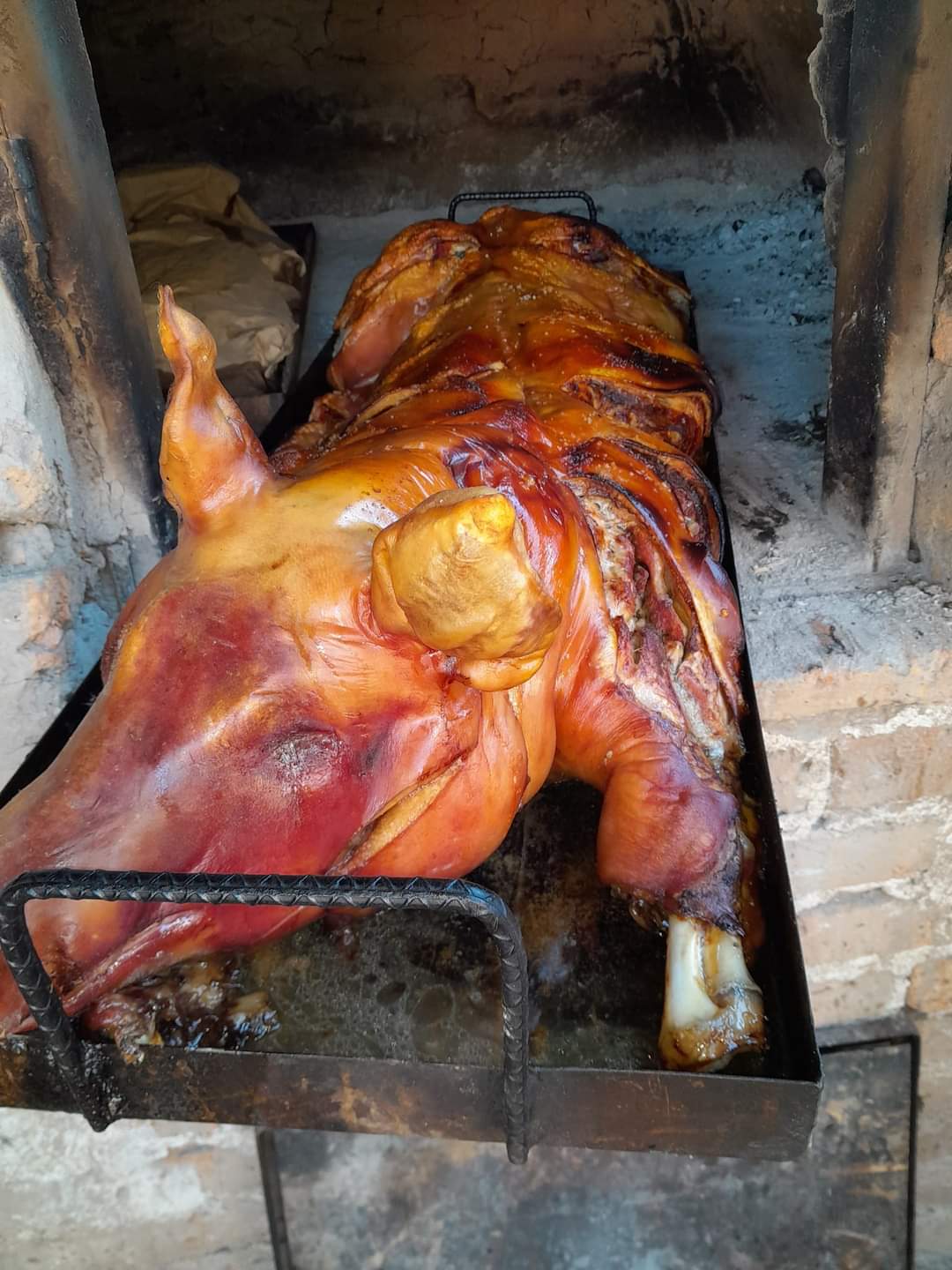 Tacos de puerco echado El Pajaro image 6