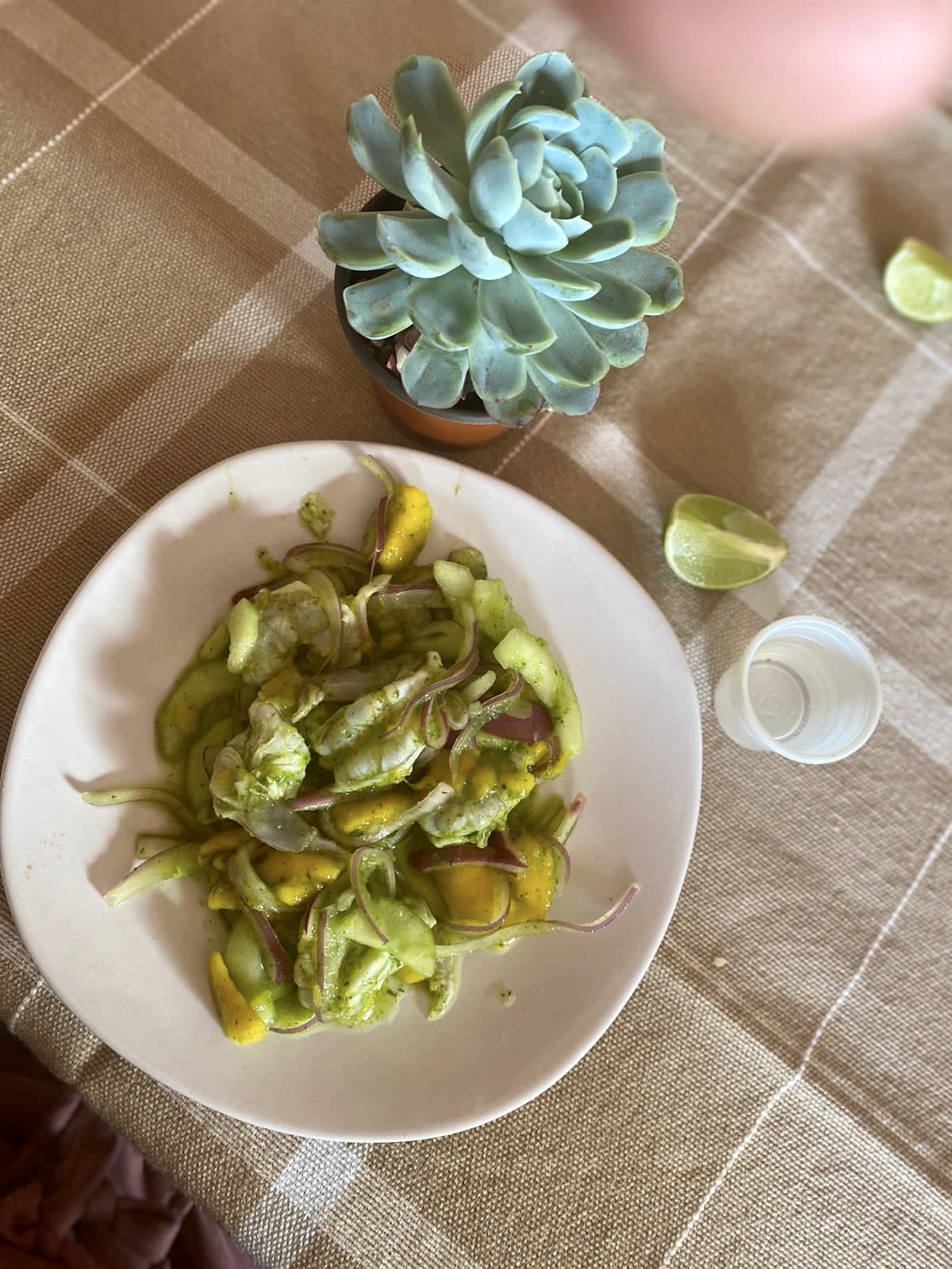 TORTAS DE TOSTADA "DOÑA LUCRE" image 2