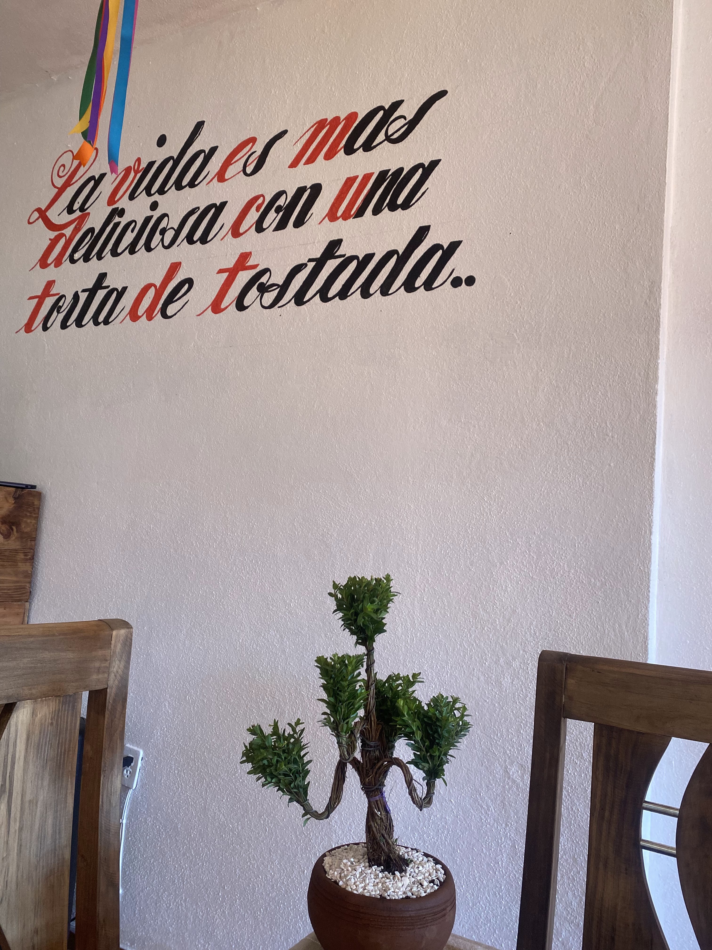 TORTAS DE TOSTADA "DOÑA LUCRE" image 7