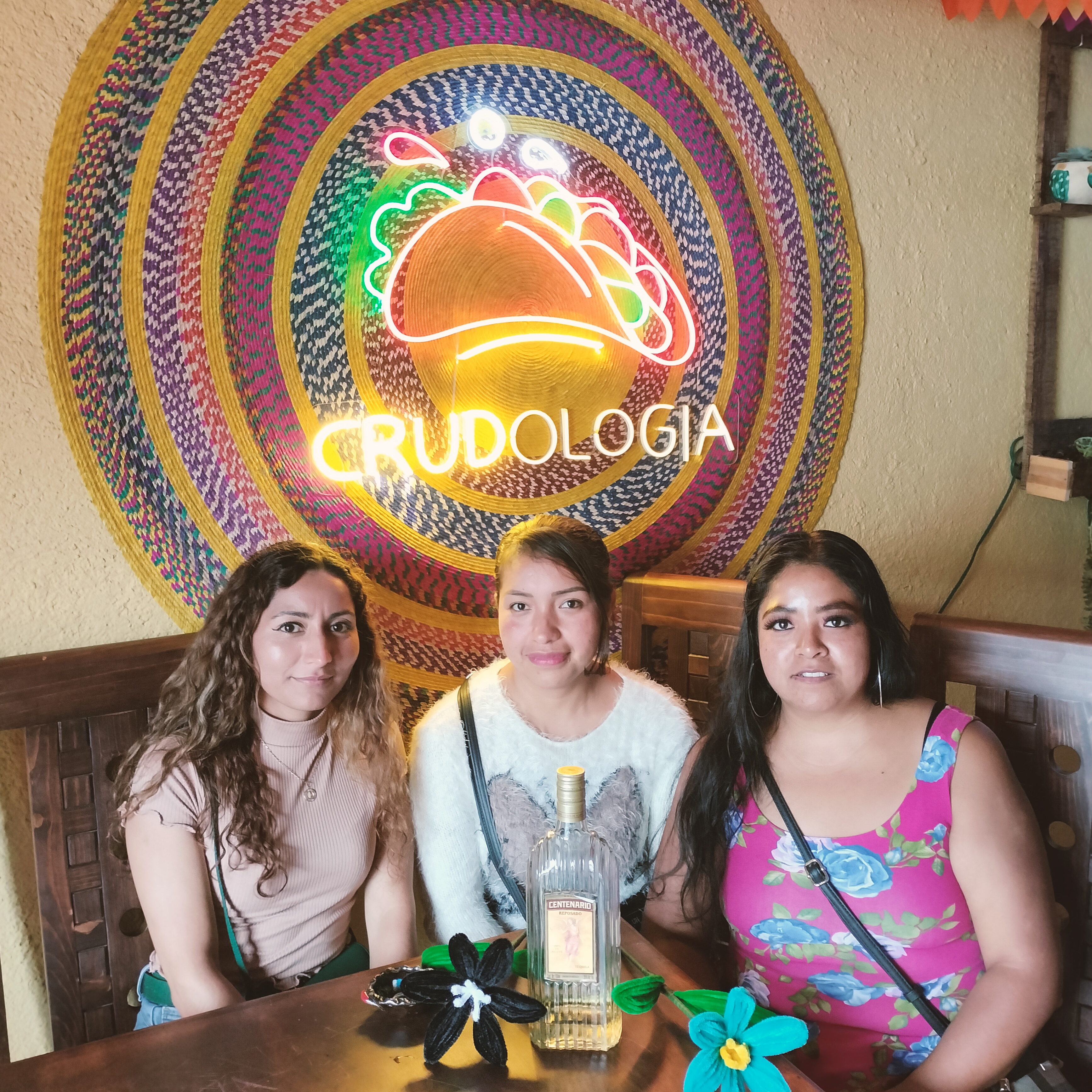 CRUDOLOGÍA tacos y tortas ahogadas image 2