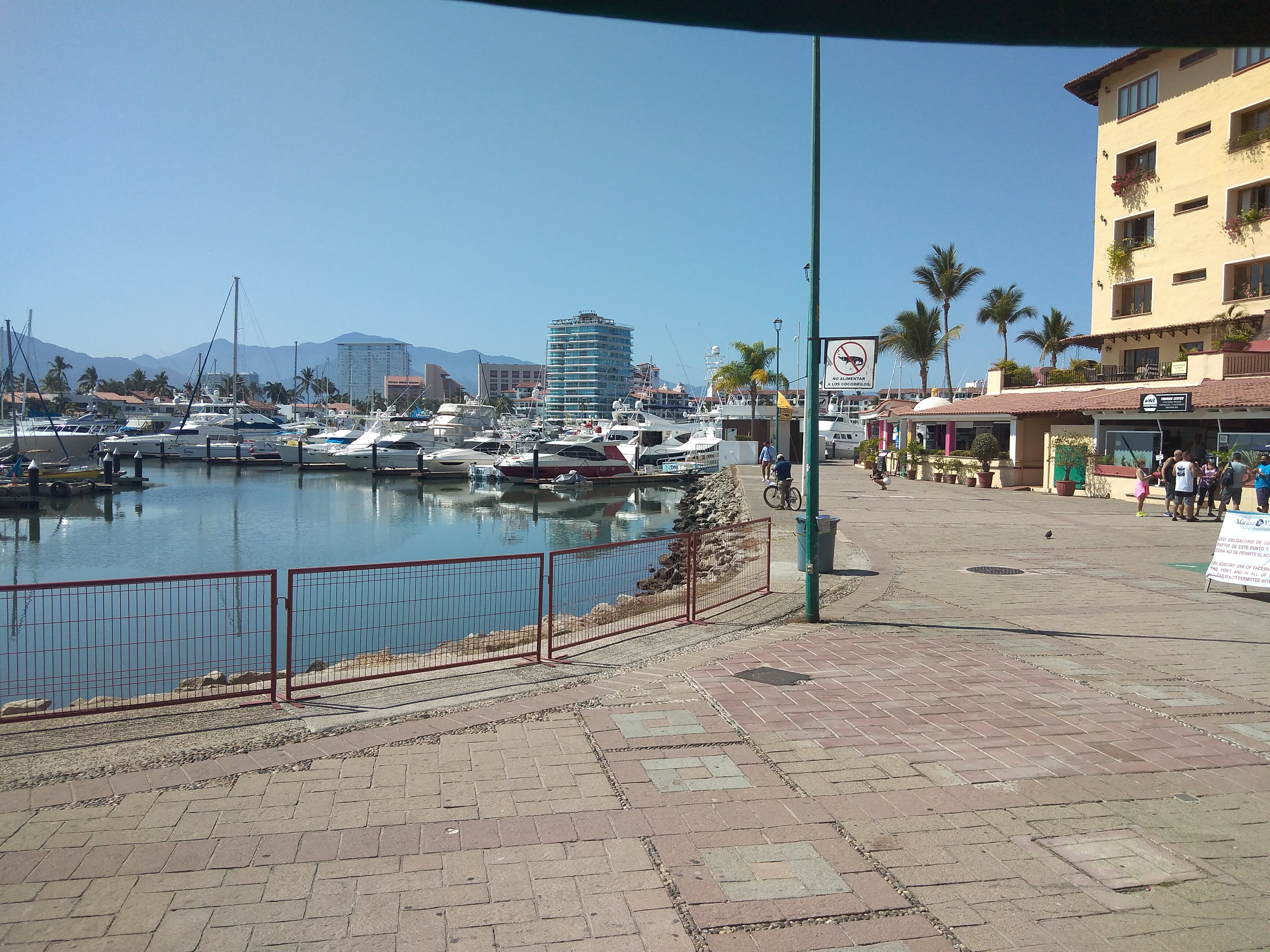 Los Alcatraces image 10