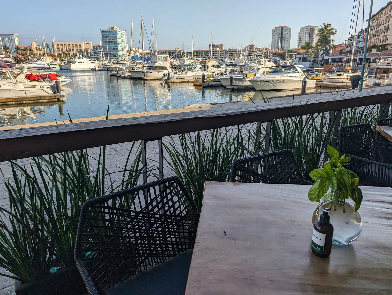 Natureza Marina image 5
