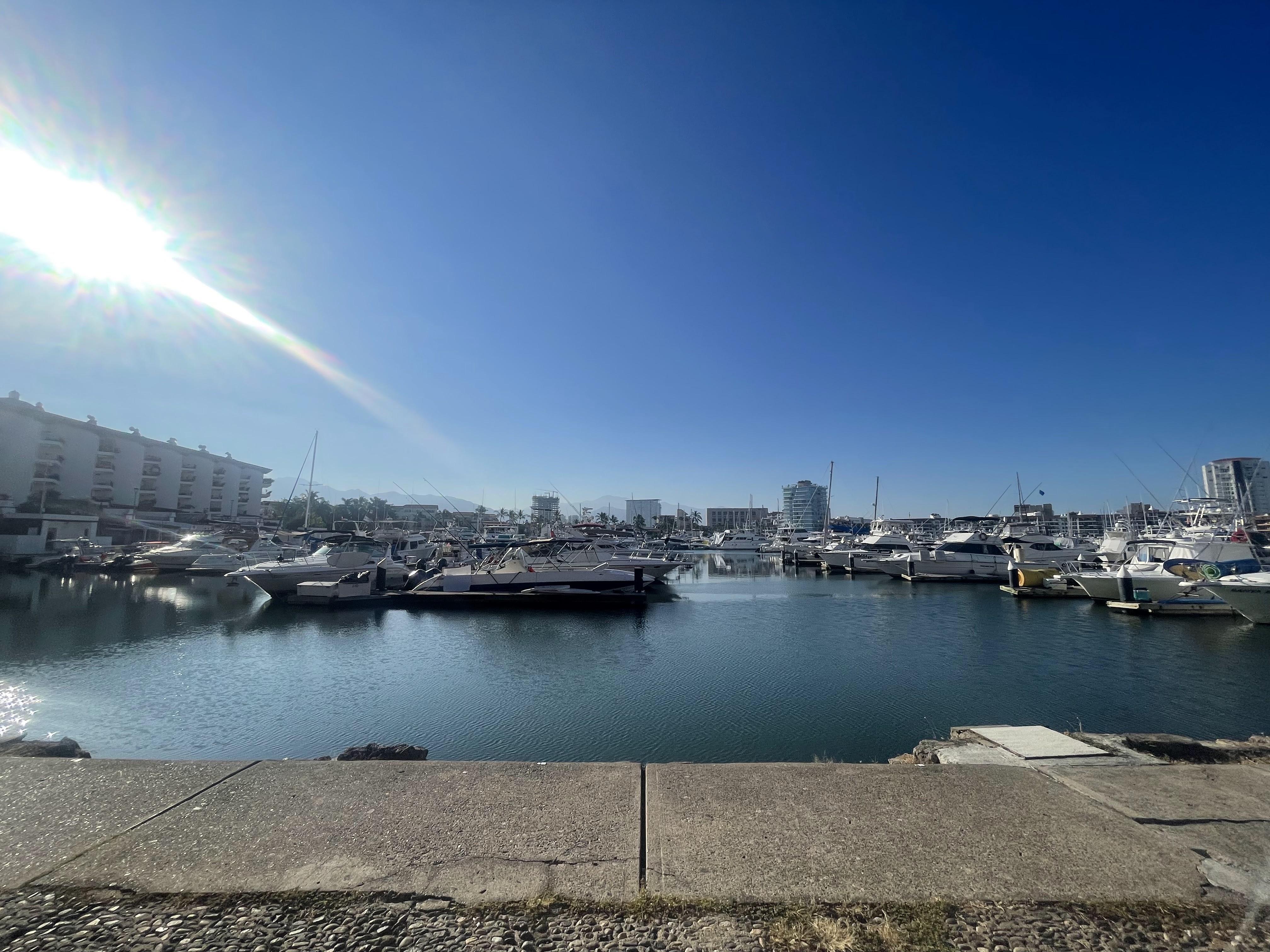 Natureza Marina image 8