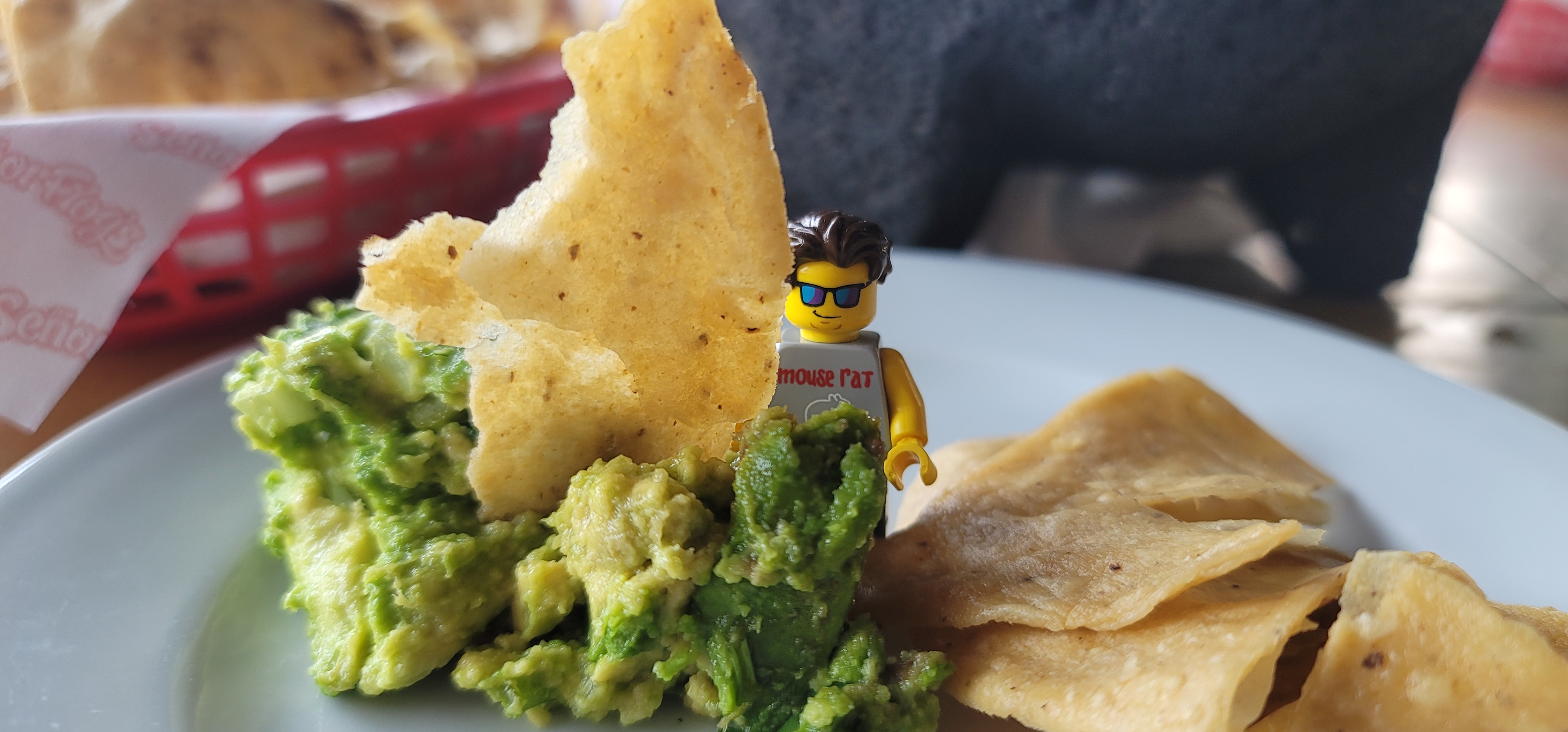 Señor Frog's image 2