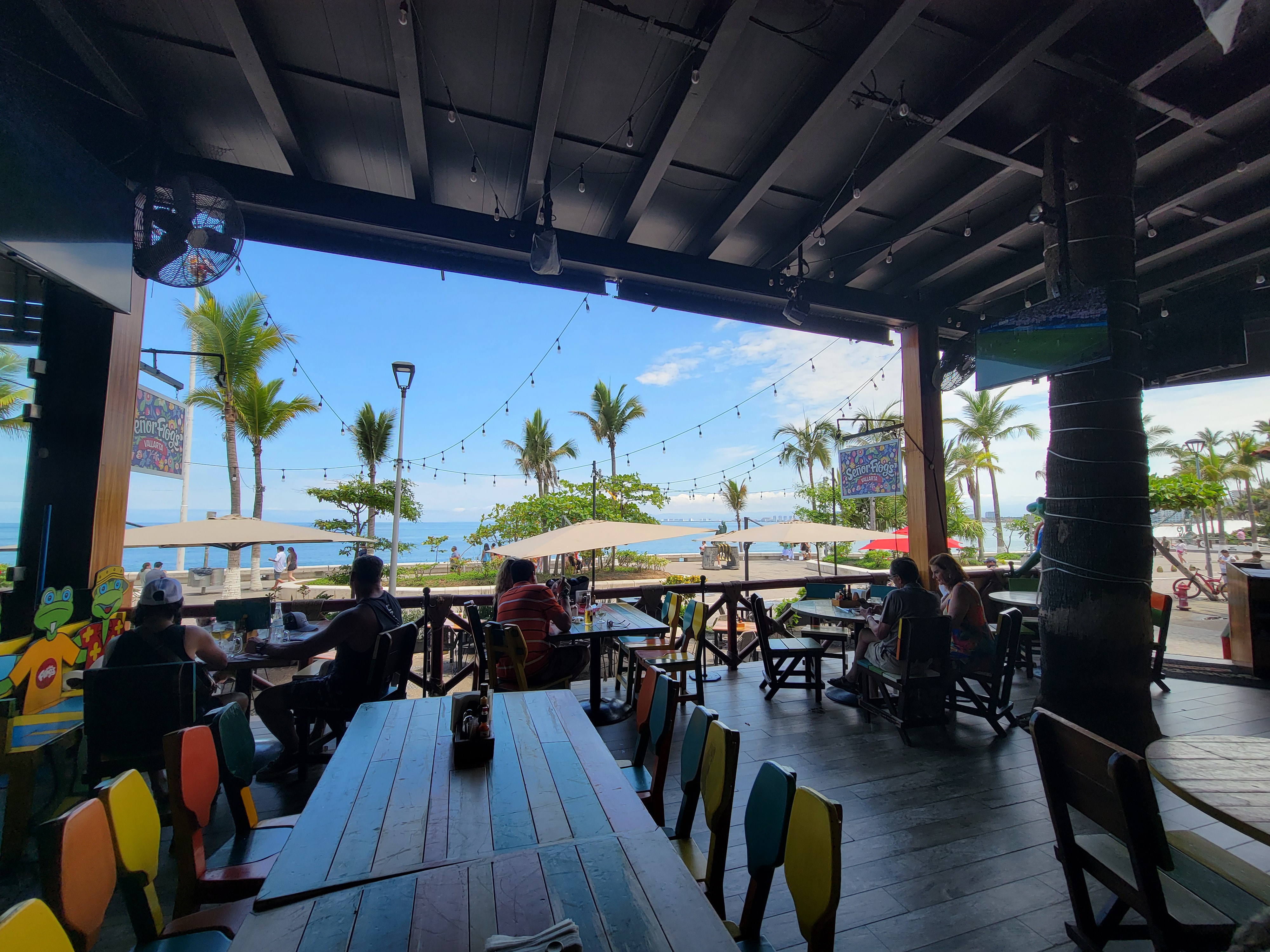 Señor Frog's image 5