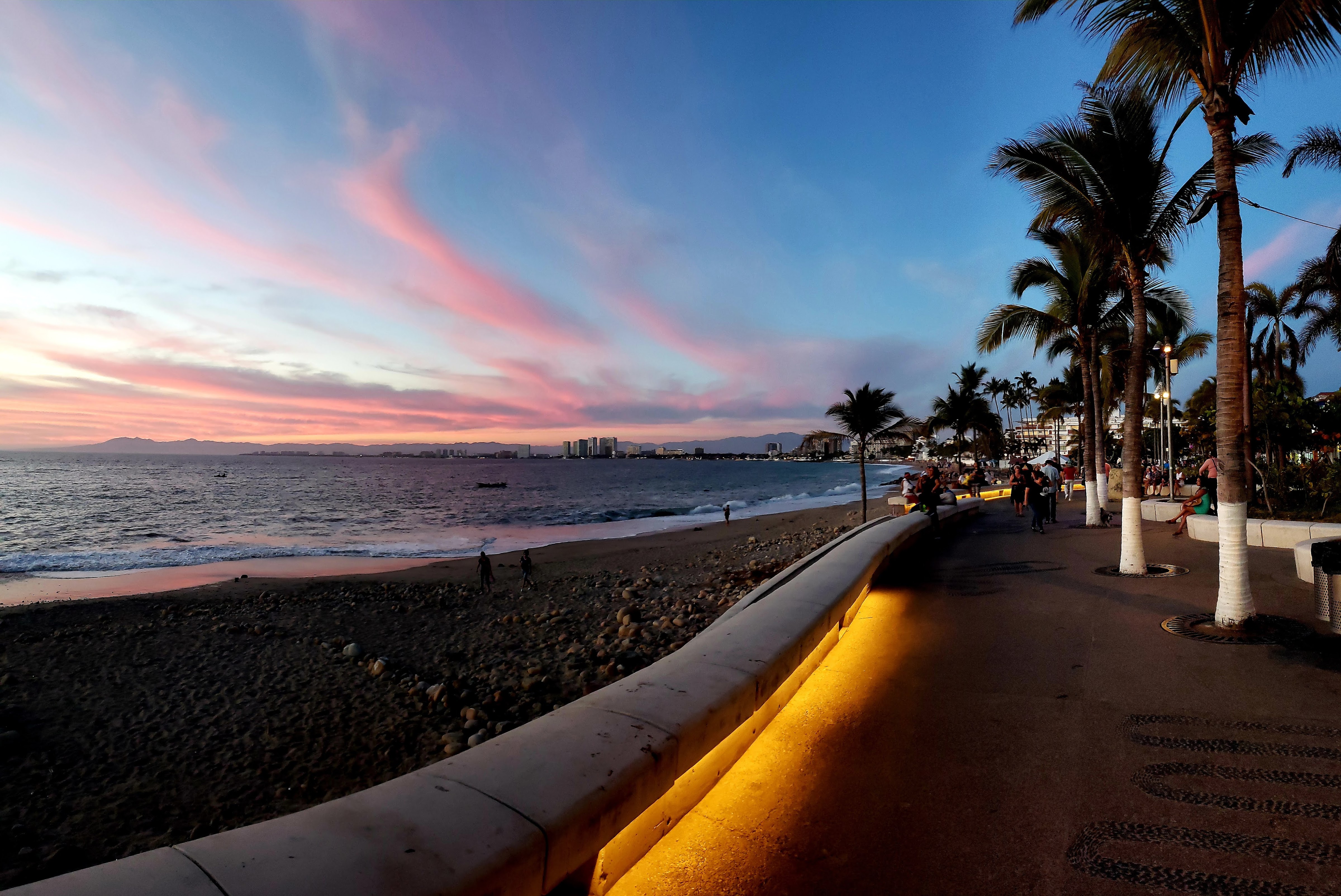 Señor Frog's image 9