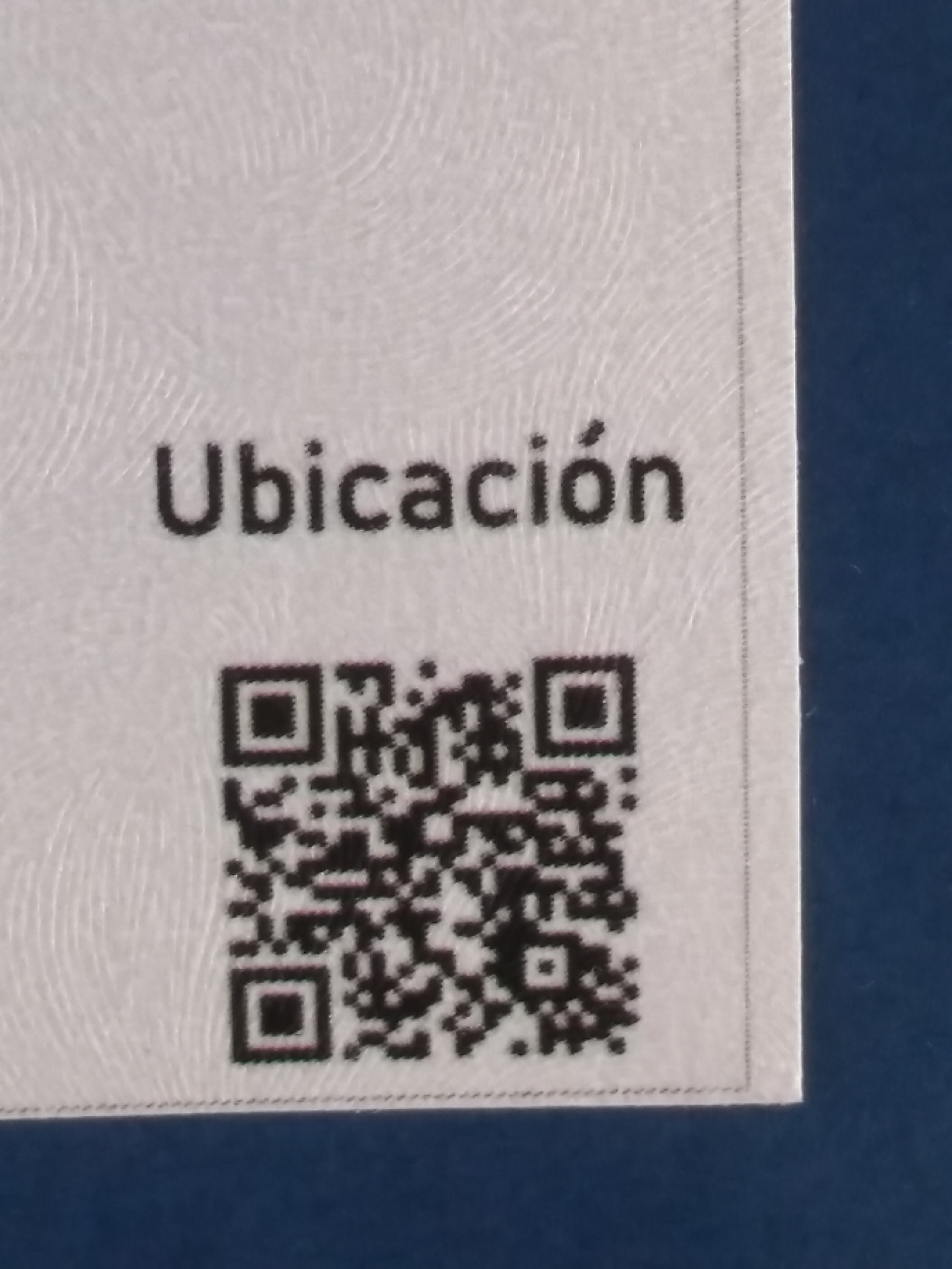 Langostinos y Mariscos Javier image 9