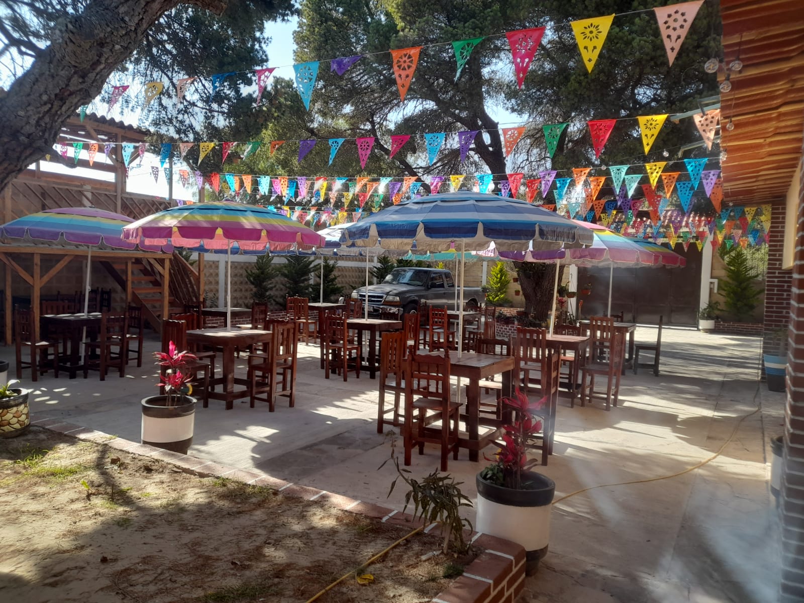 Jardín los Pinos image 1