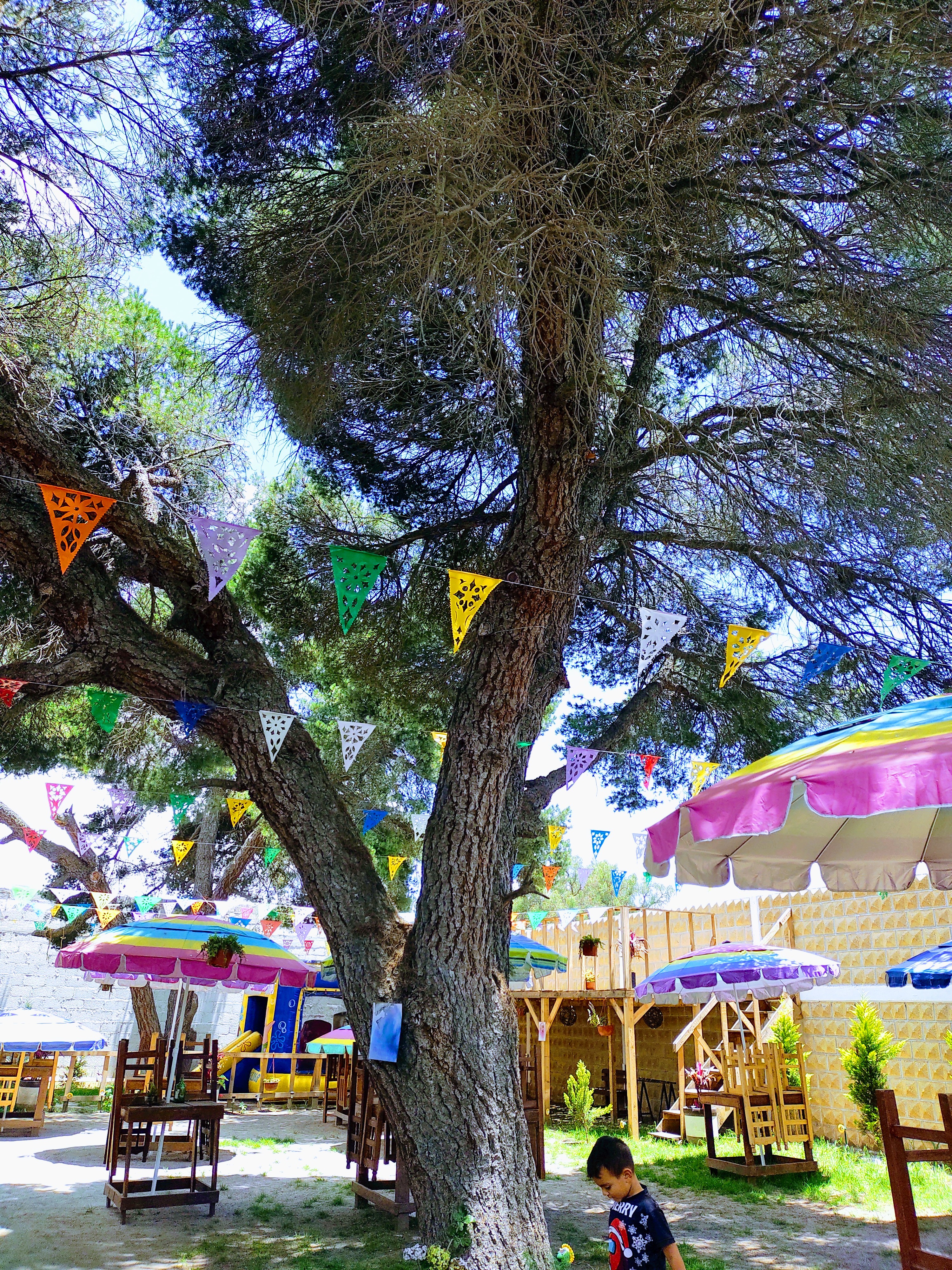 Jardín los Pinos image 3