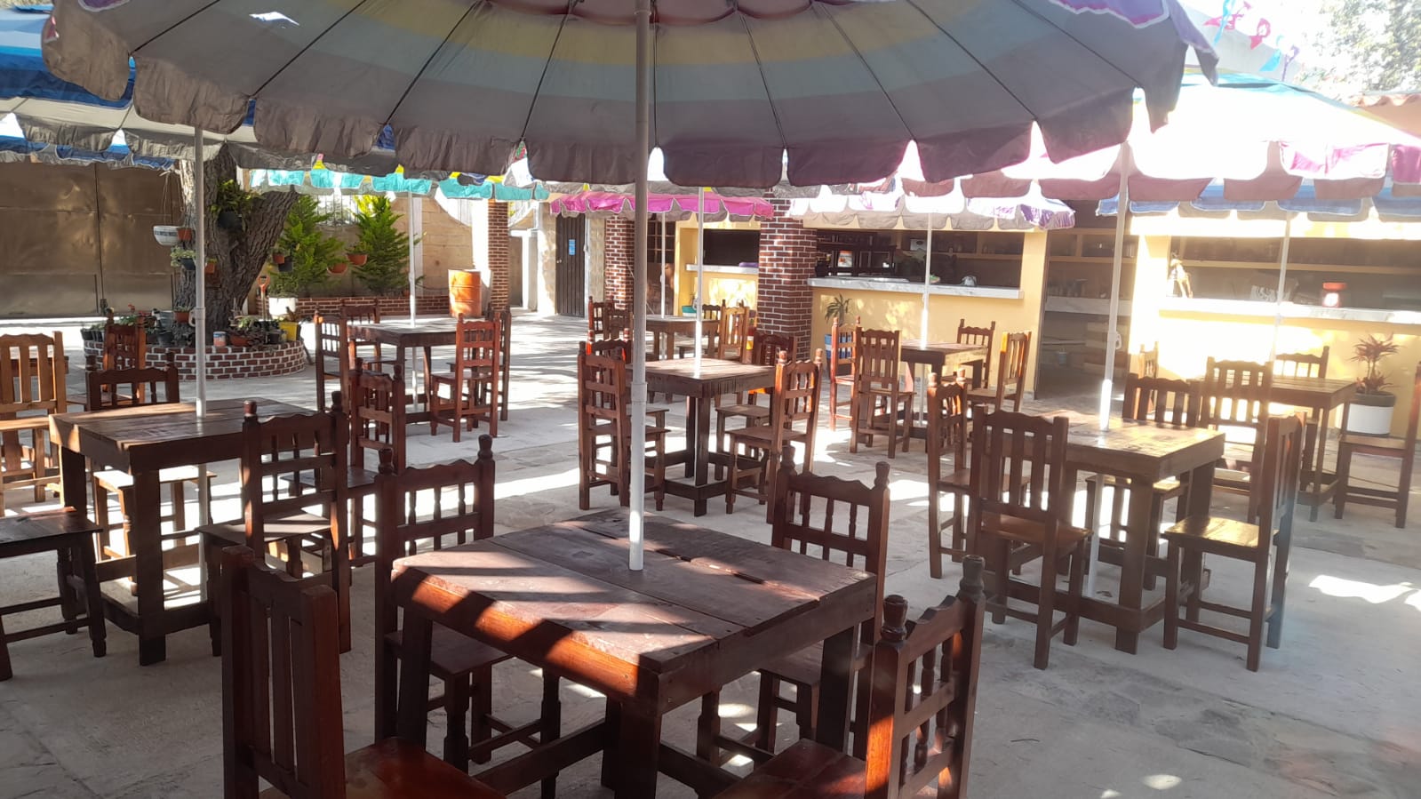 Jardín los Pinos image 4