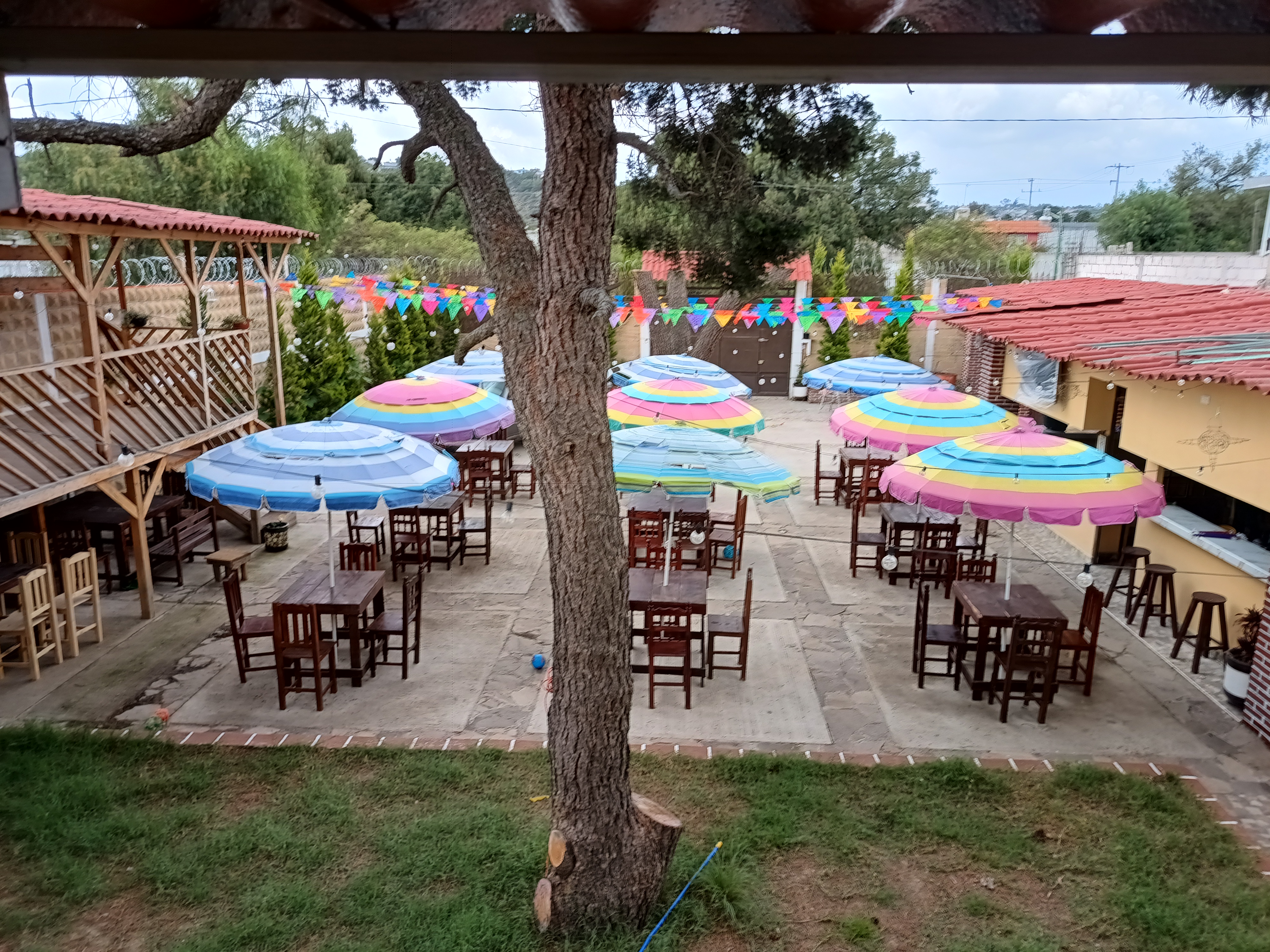 Jardín los Pinos image 6