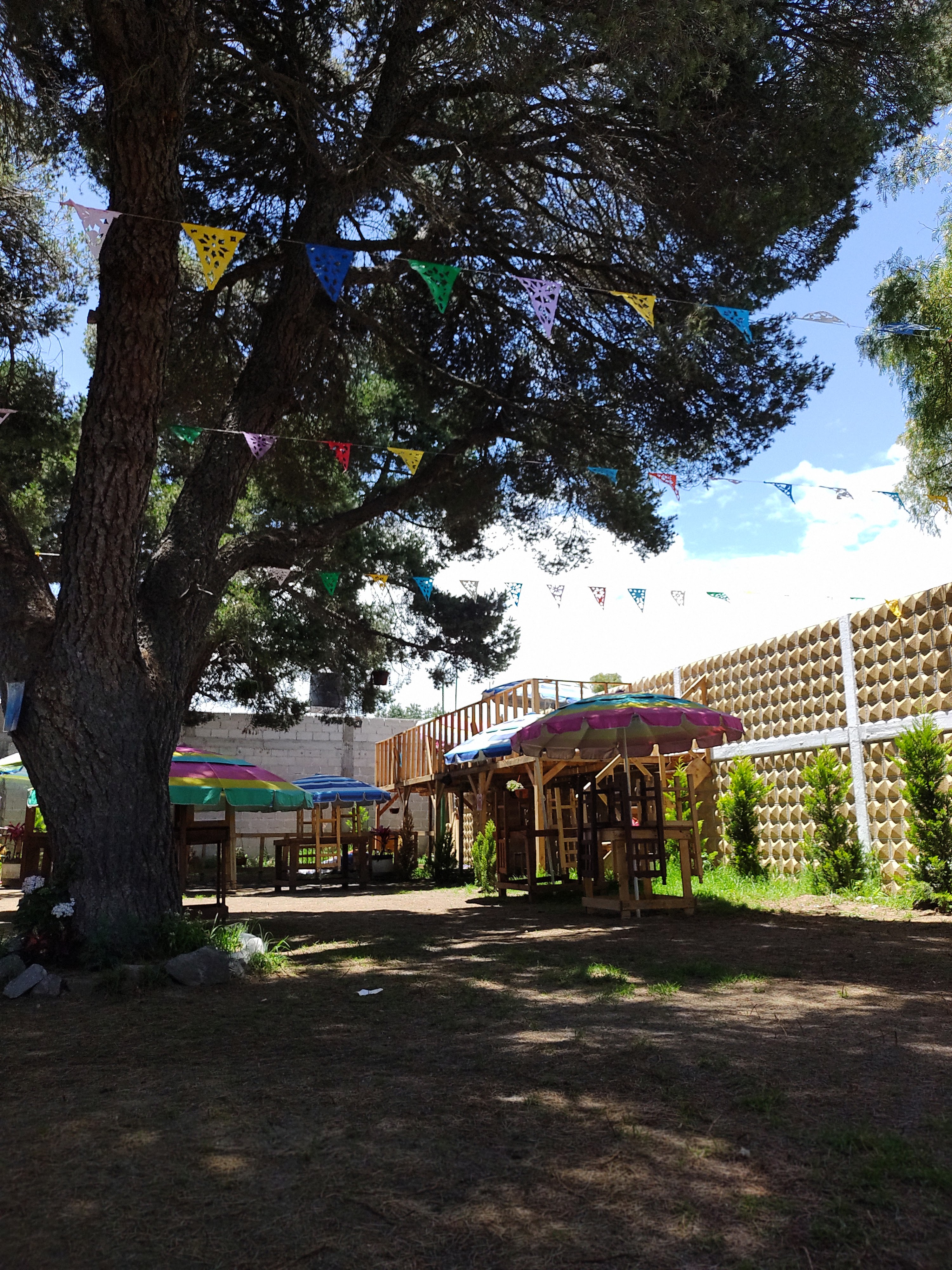 Jardín los Pinos image 10