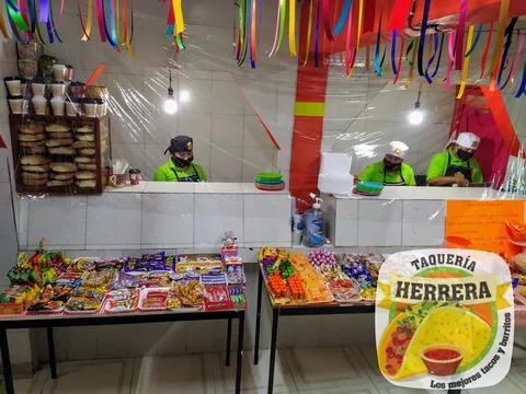 Herrera image 5