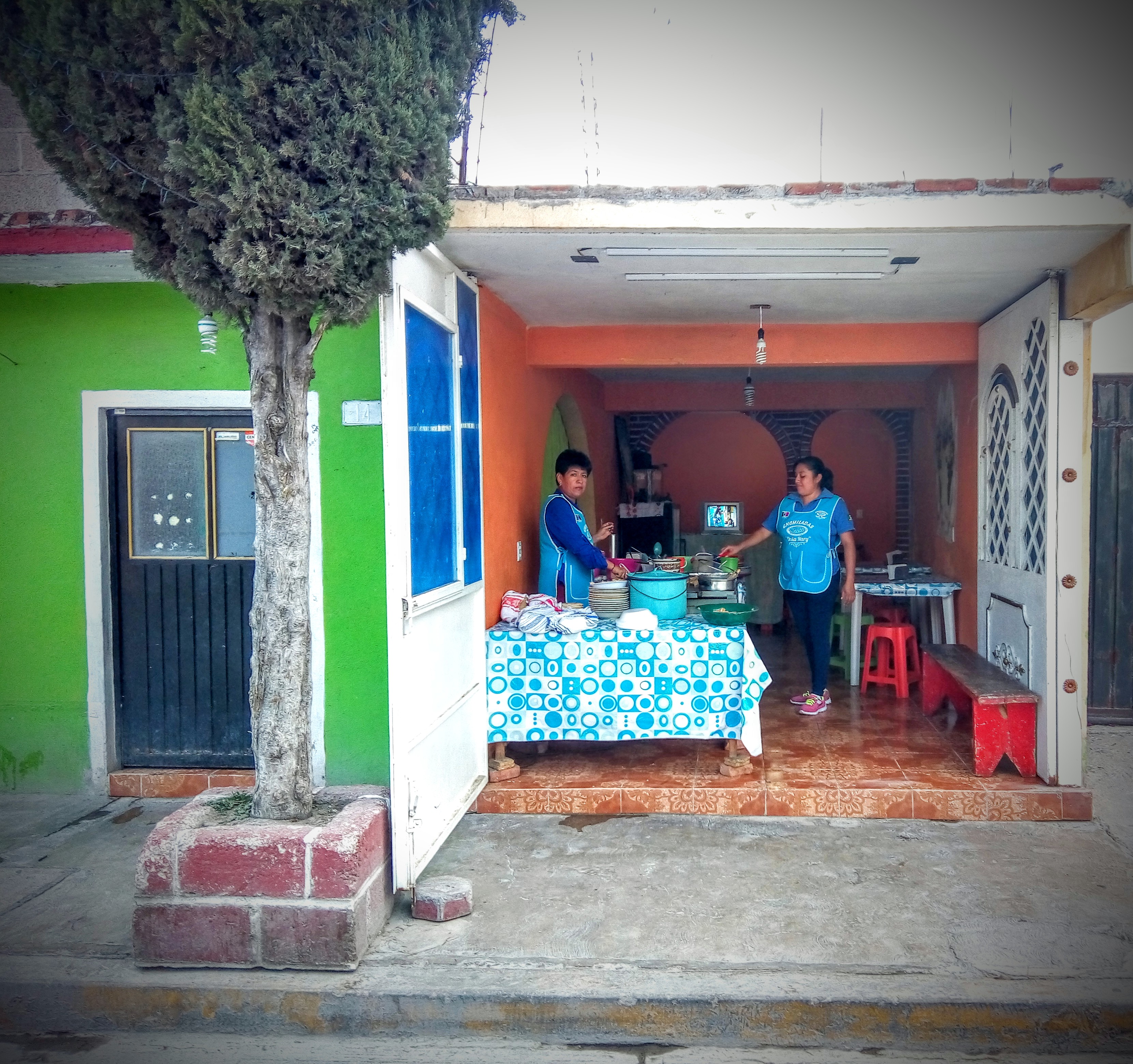 Enchiladas Doña "MARY" image 6