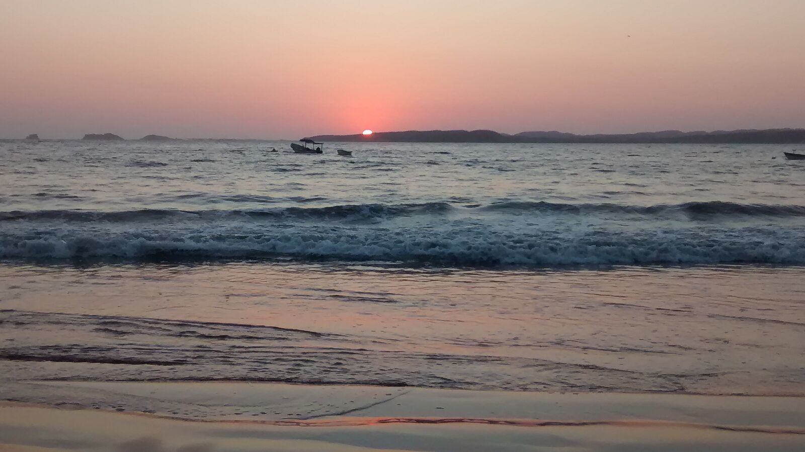 Martins image 10