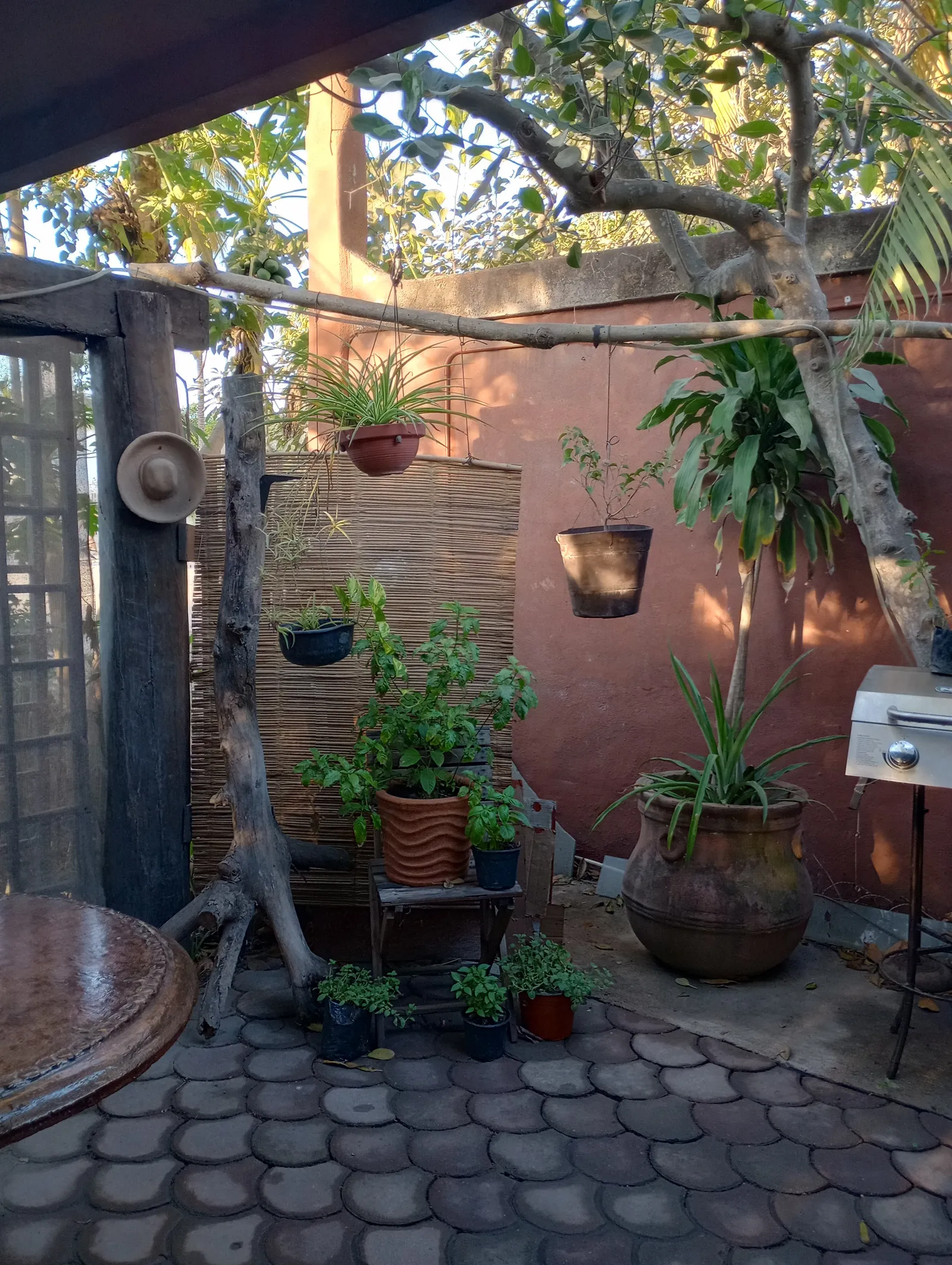 Mayaguel Restaurant image 9