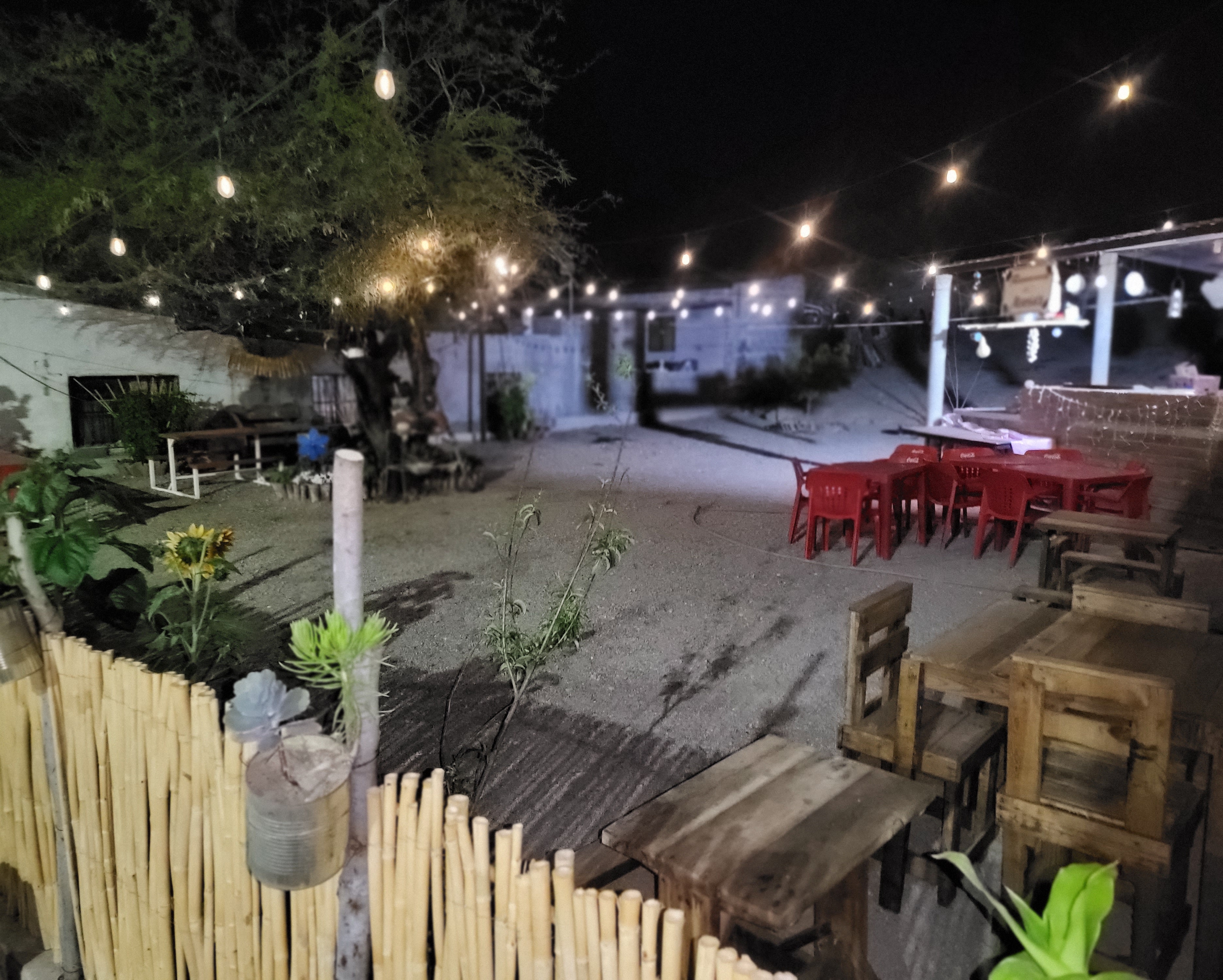 Las Marías Restaurant image 8