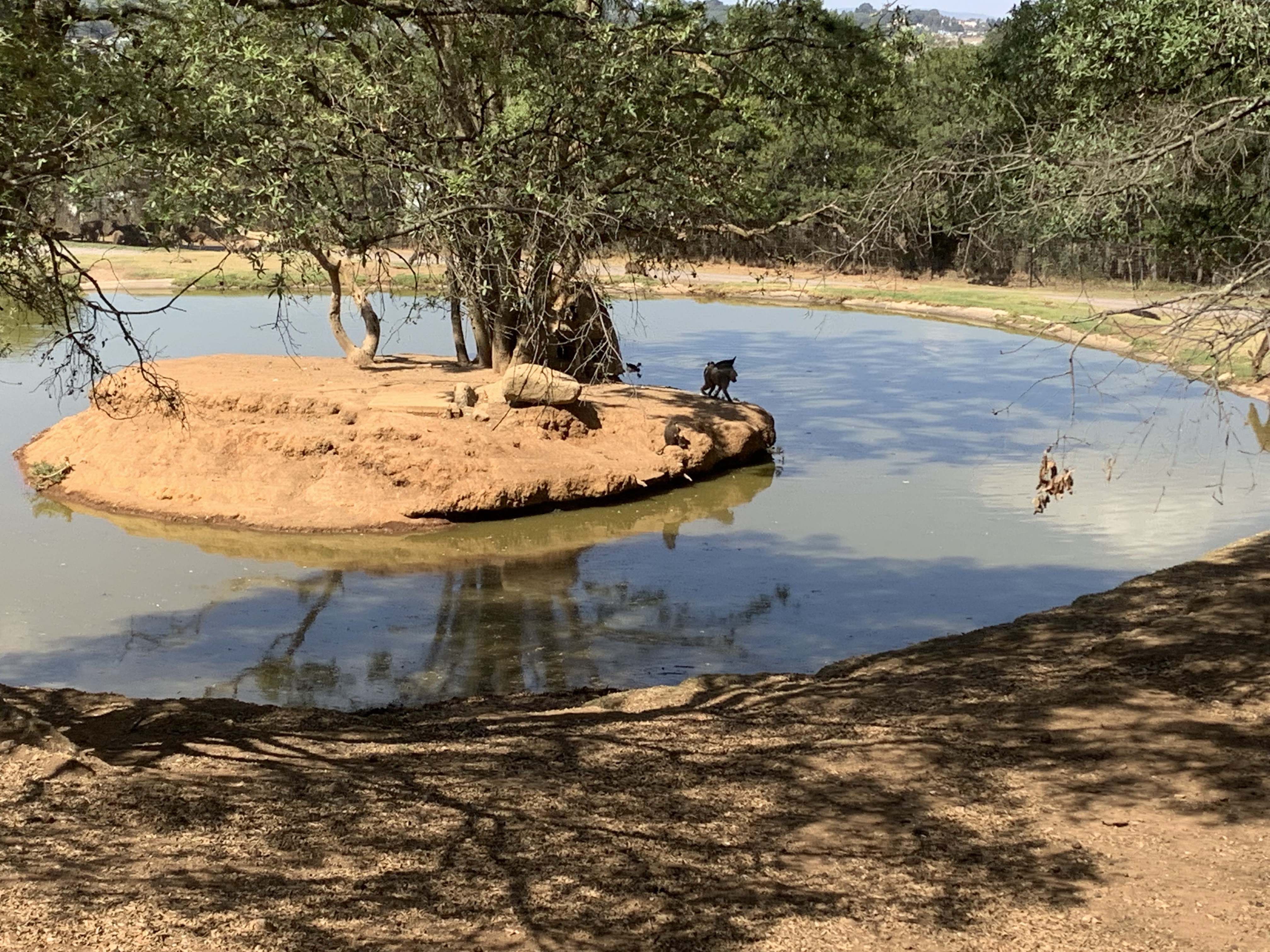 busio image 4