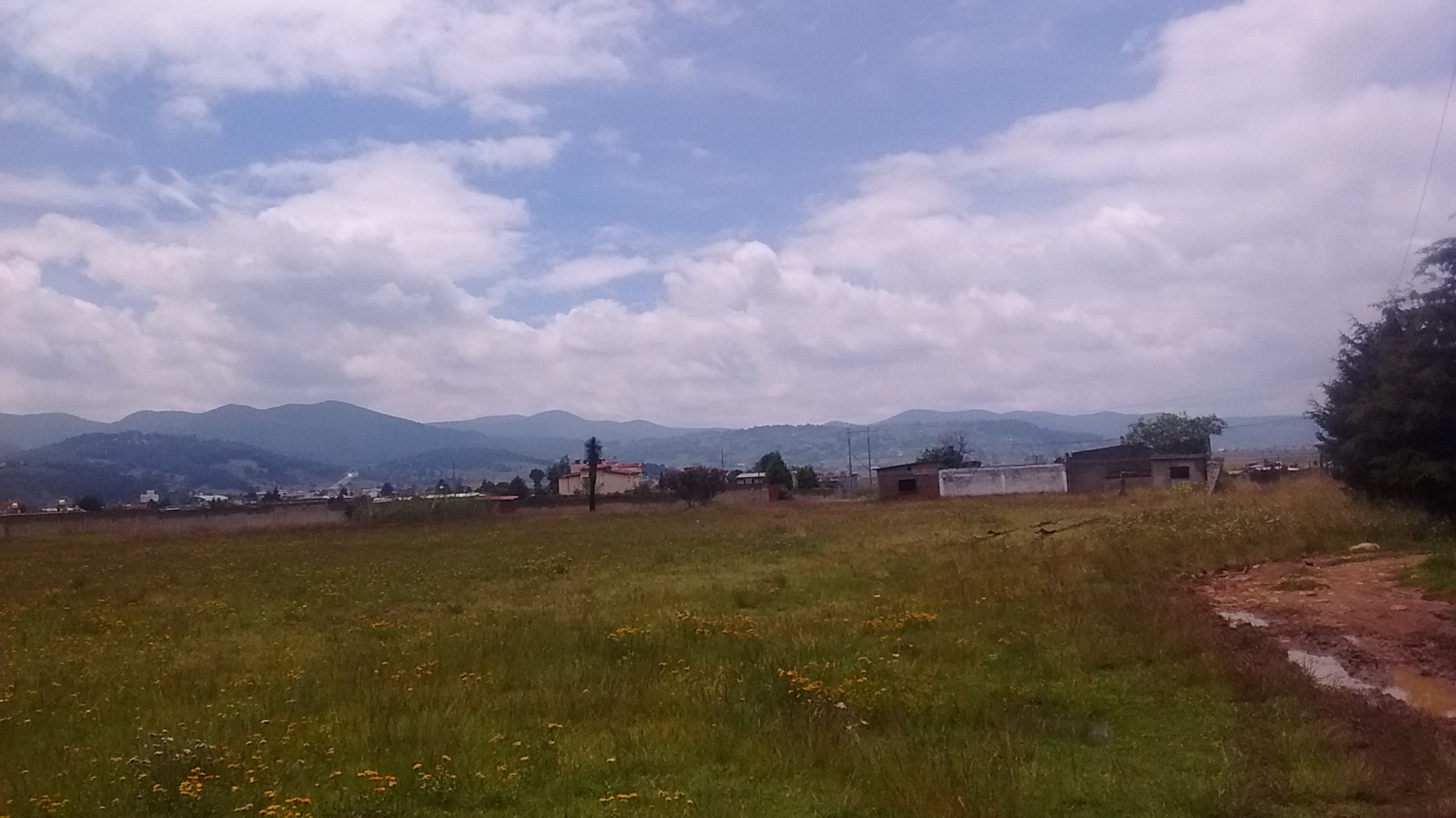busio image 9