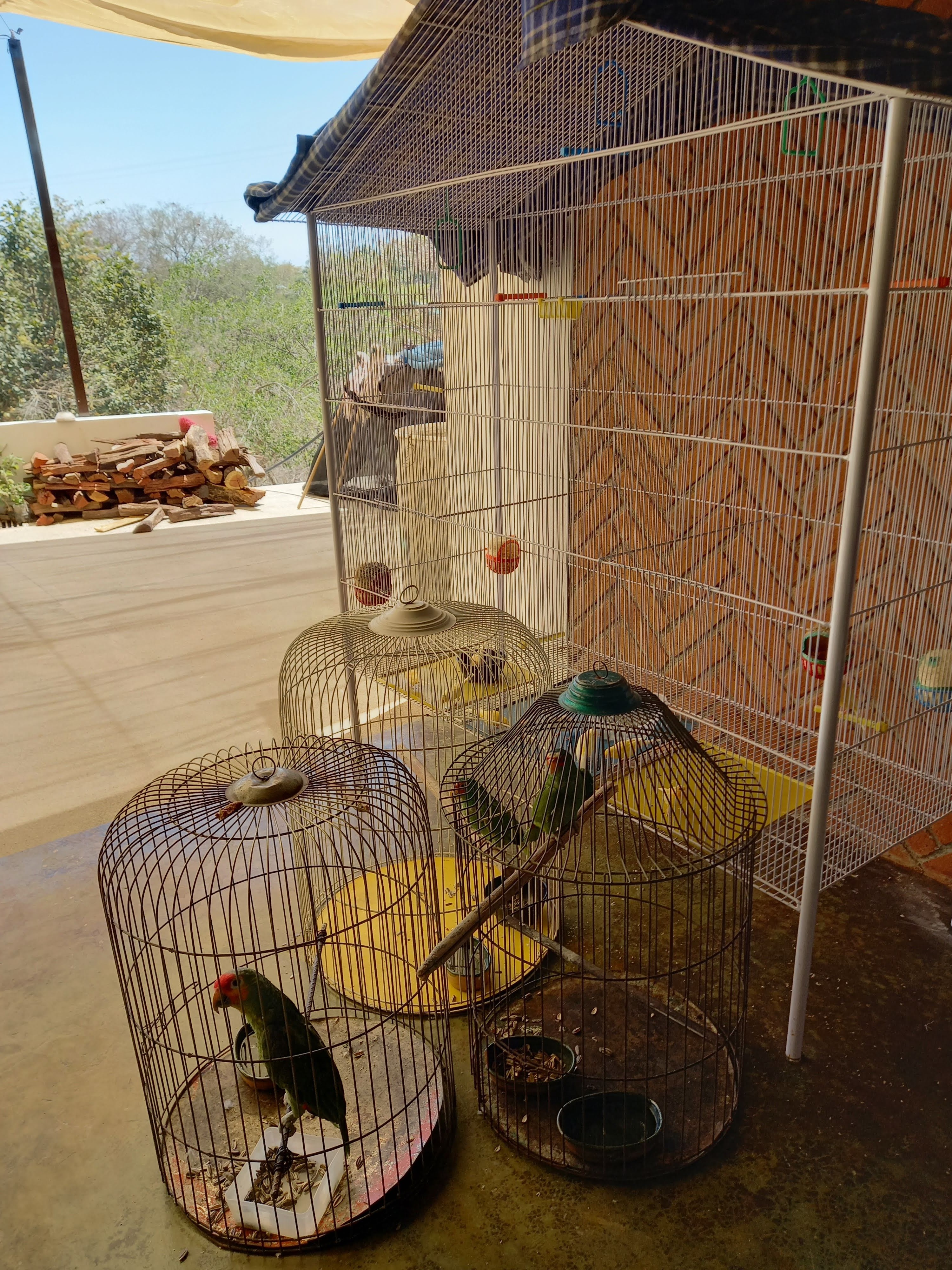 El Molcajete image 9