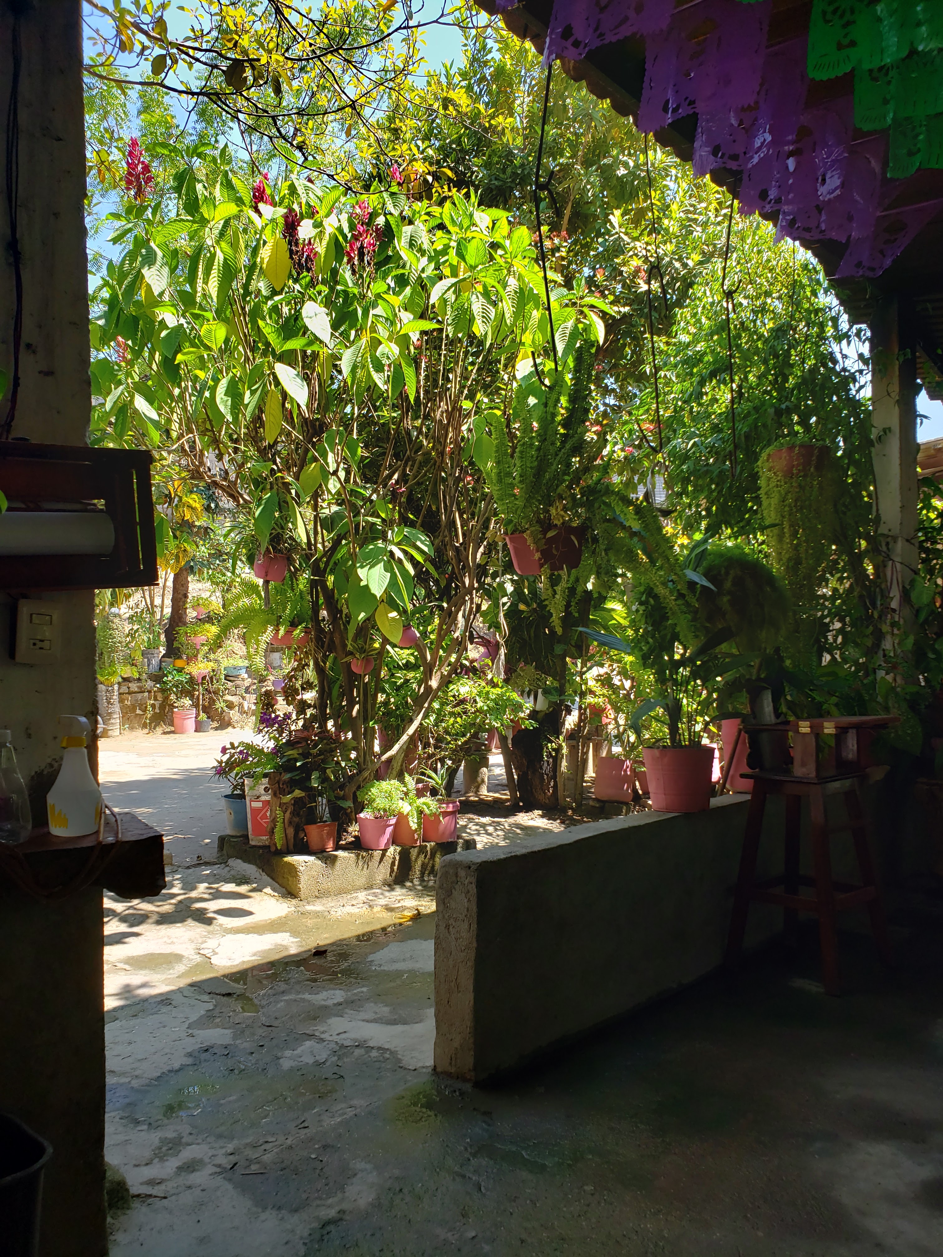 La Fragua Del Abuelo Chelo image 3