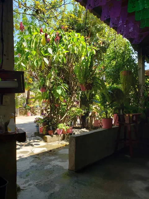 La Fragua Del Abuelo Chelo image 3