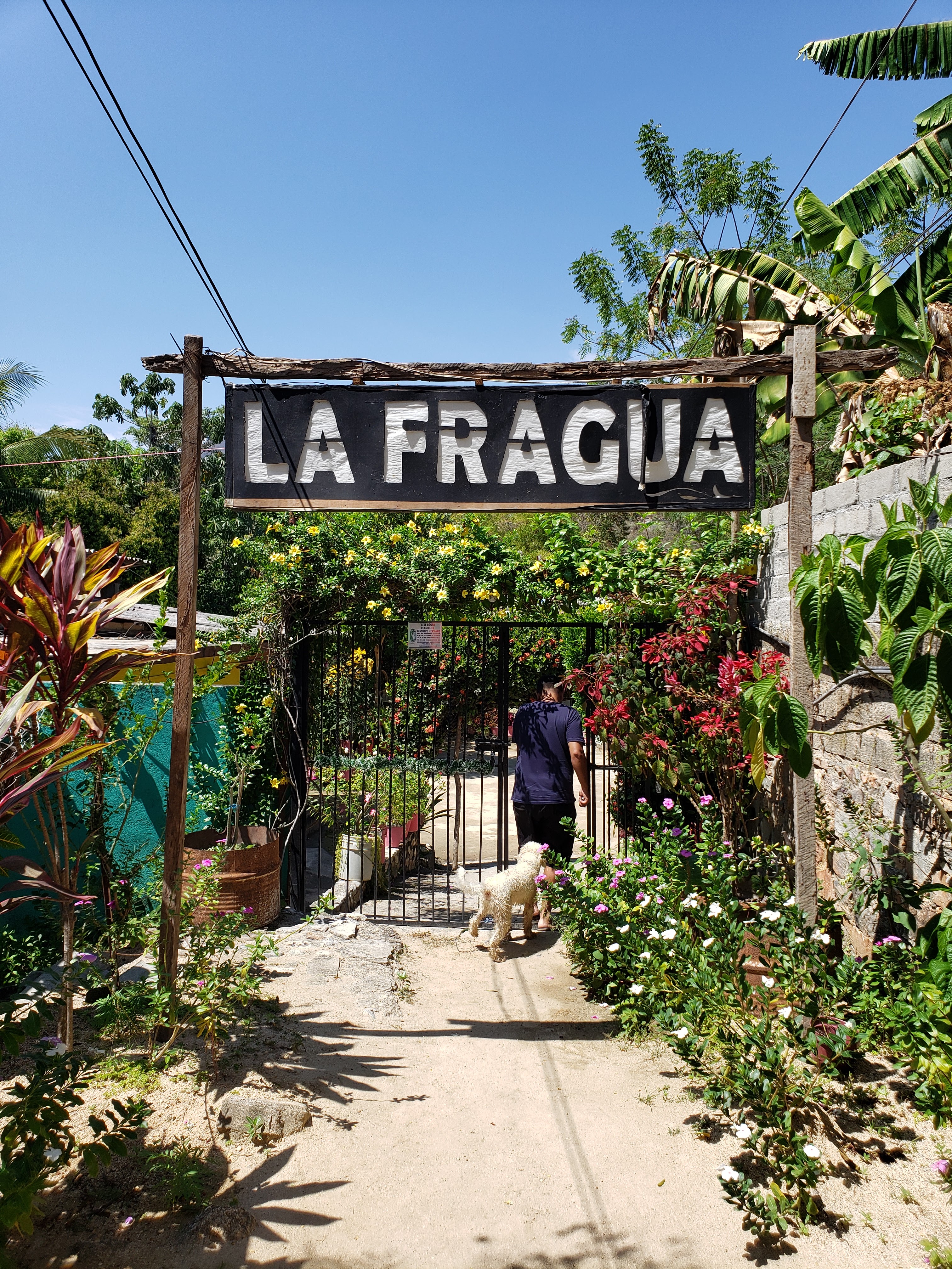 La Fragua Del Abuelo Chelo image 4