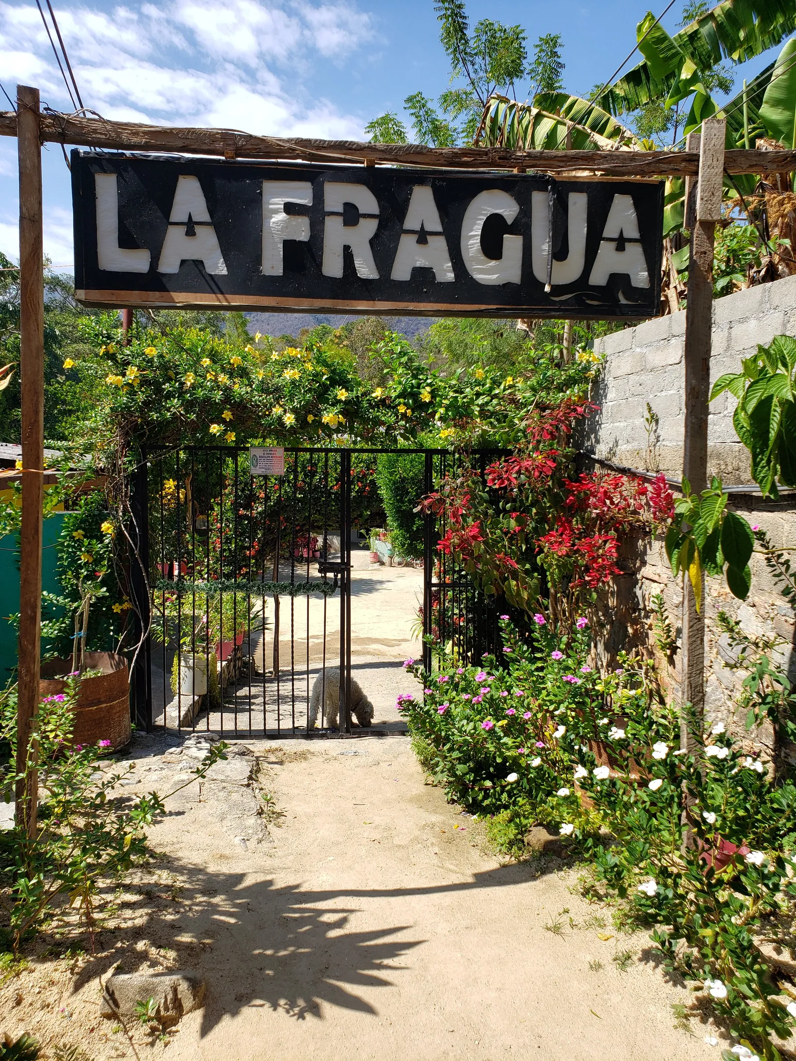La Fragua Del Abuelo Chelo image 9