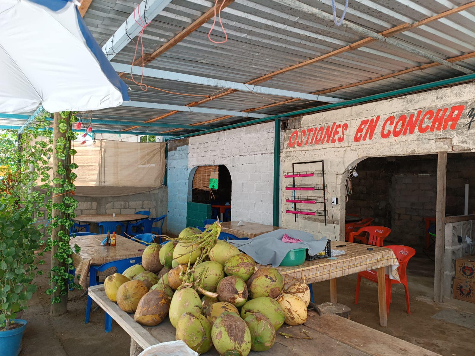 Cocteleria "Karito" image 2