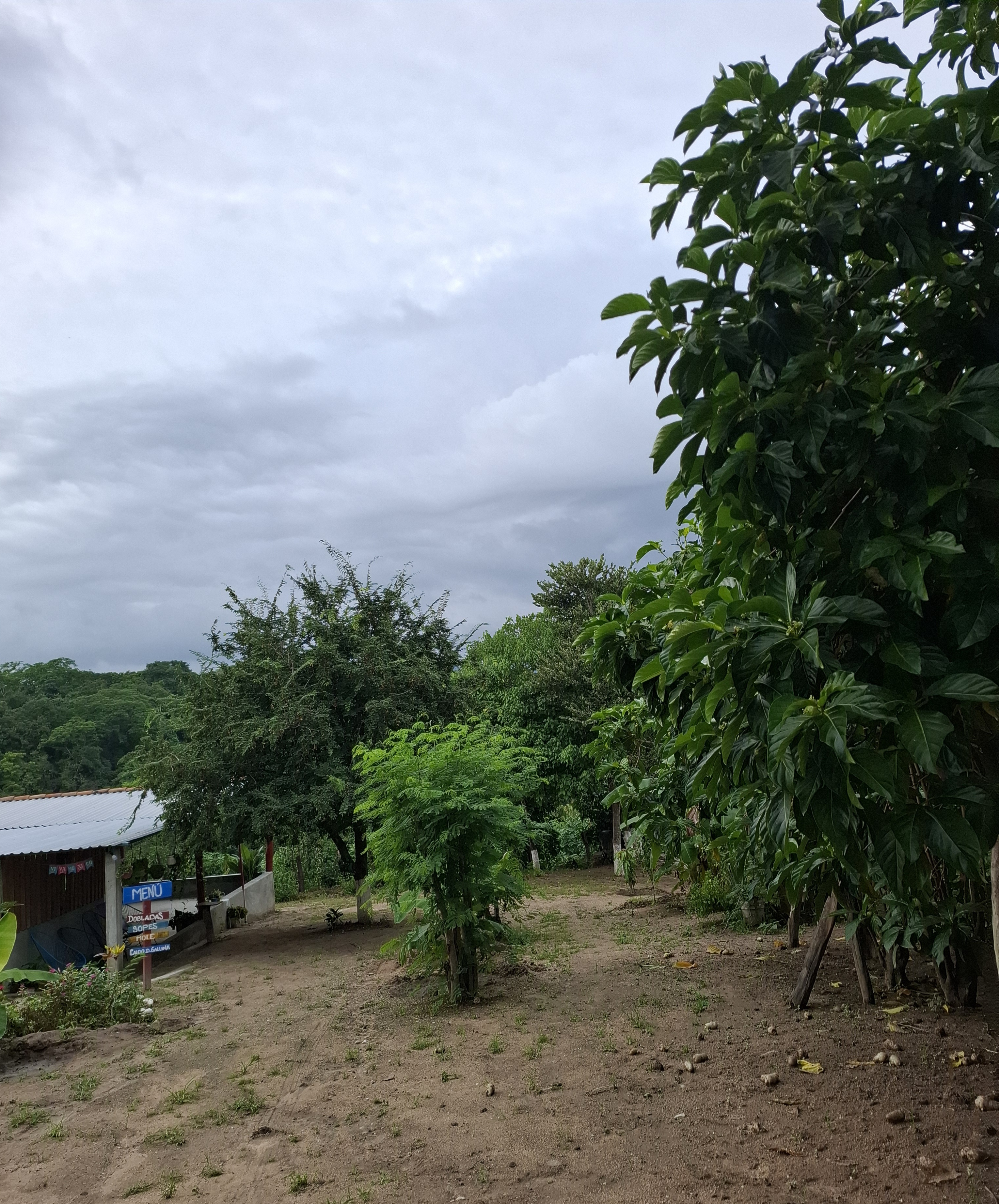 LLano de Los Abuelos image 2