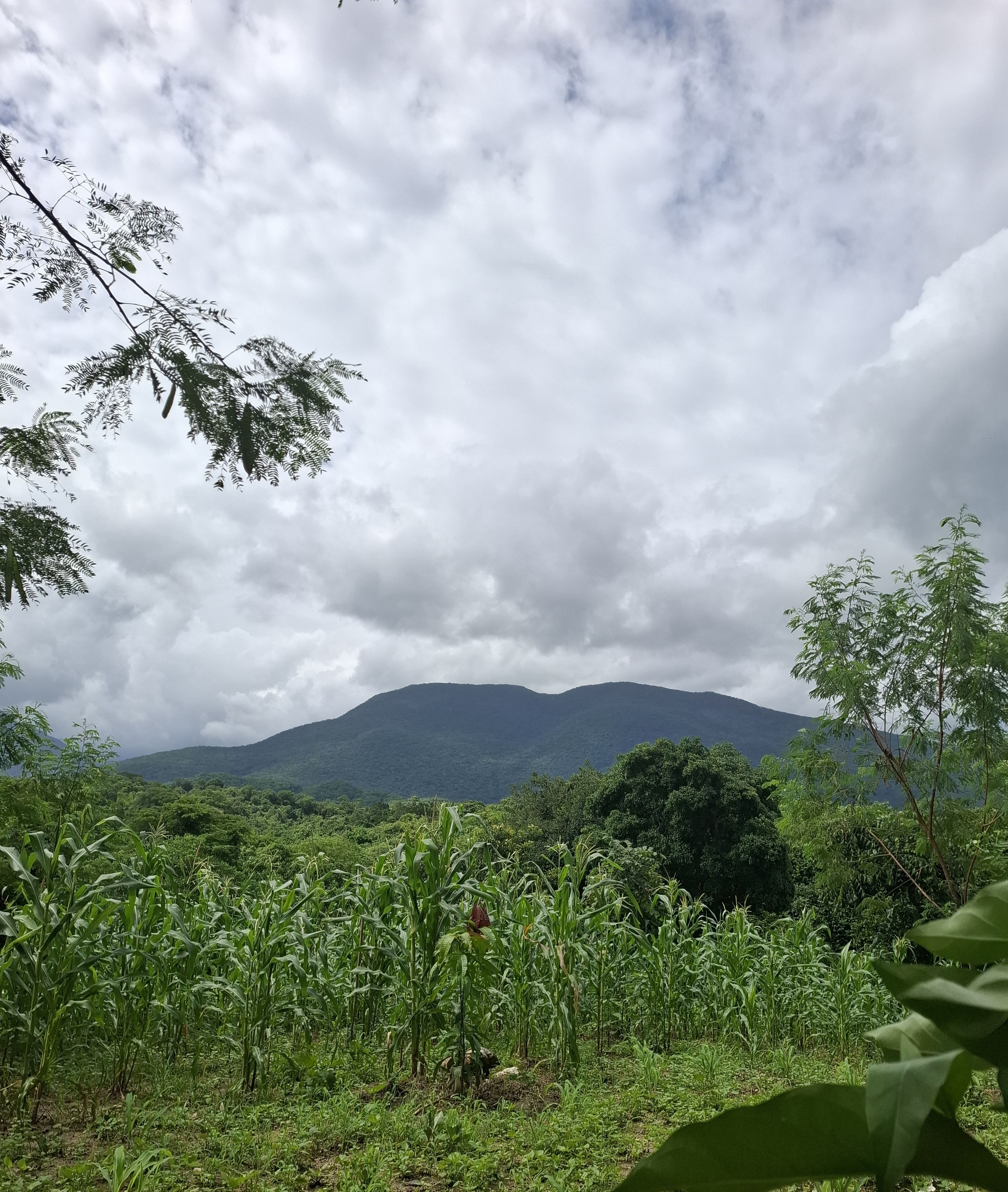 LLano de Los Abuelos image 3