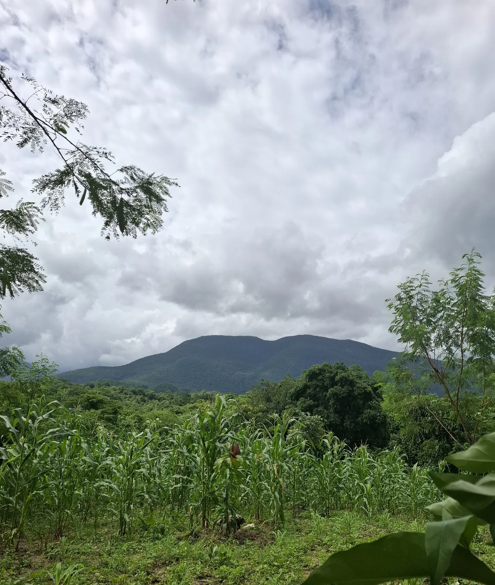 LLano de Los Abuelos image 3