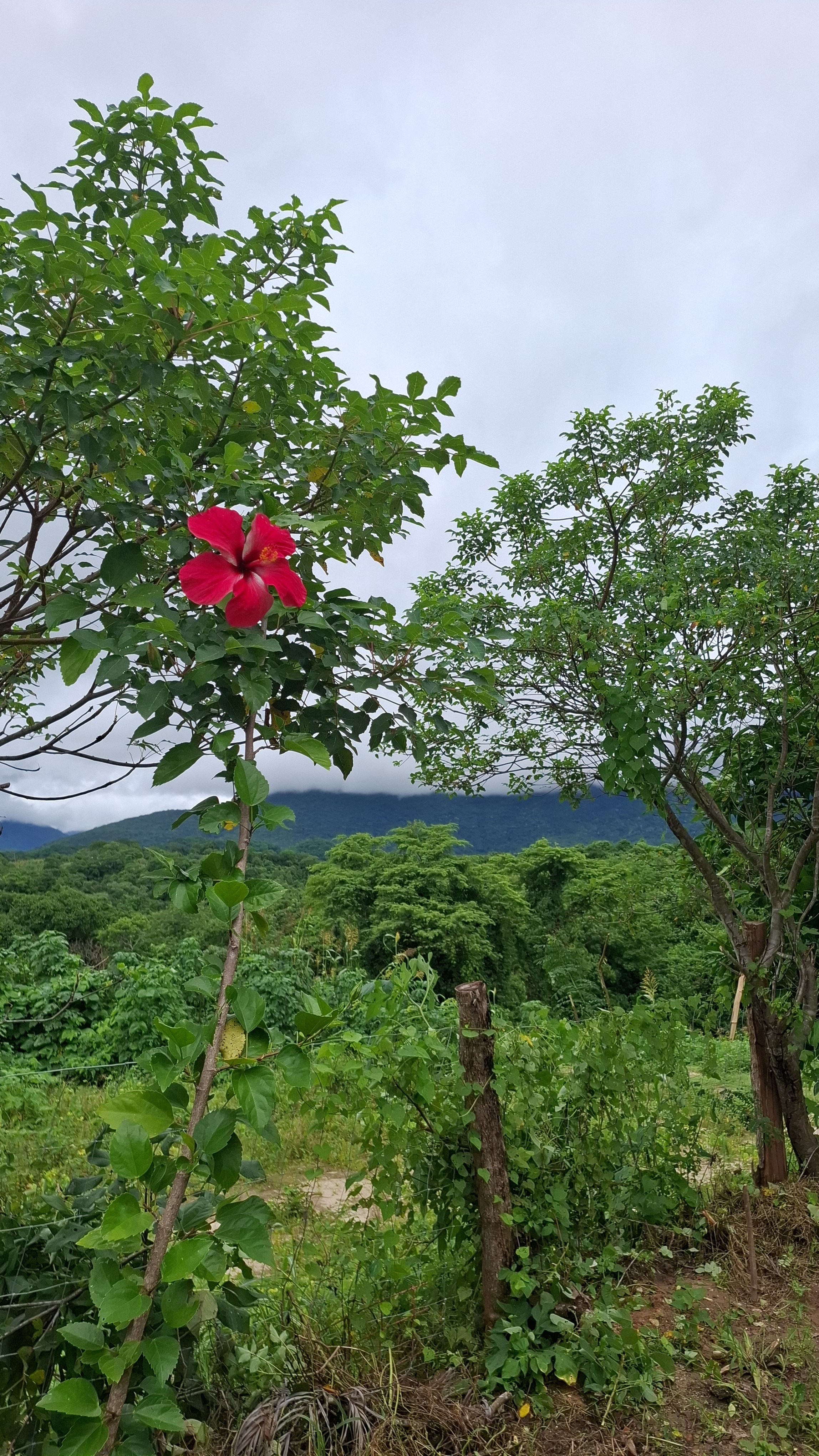 LLano de Los Abuelos image 4