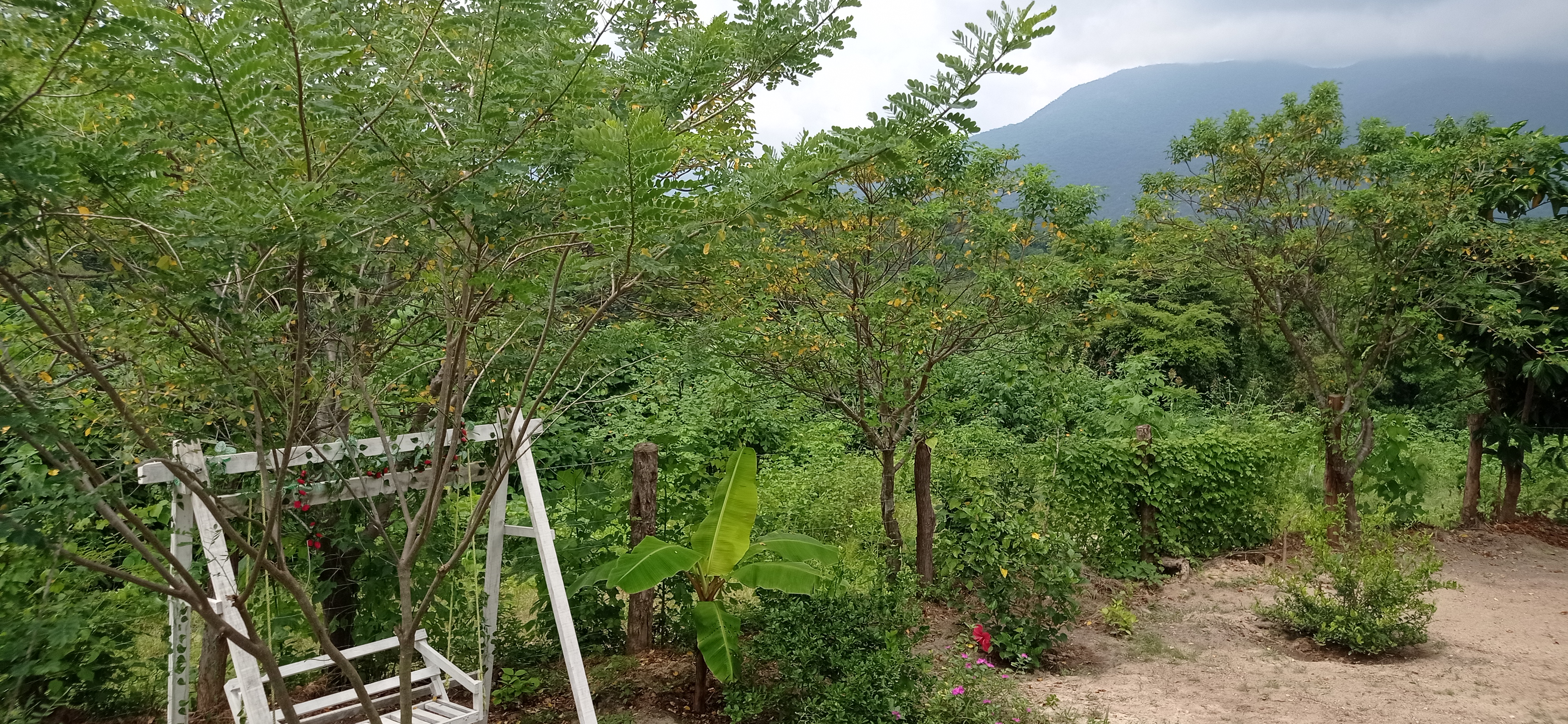 LLano de Los Abuelos image 5