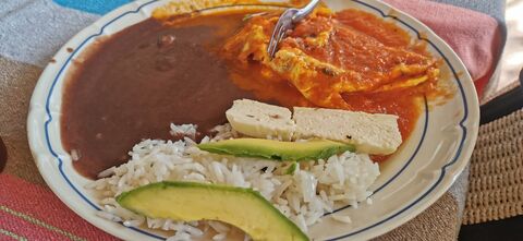 El Huanacaxtle image 2