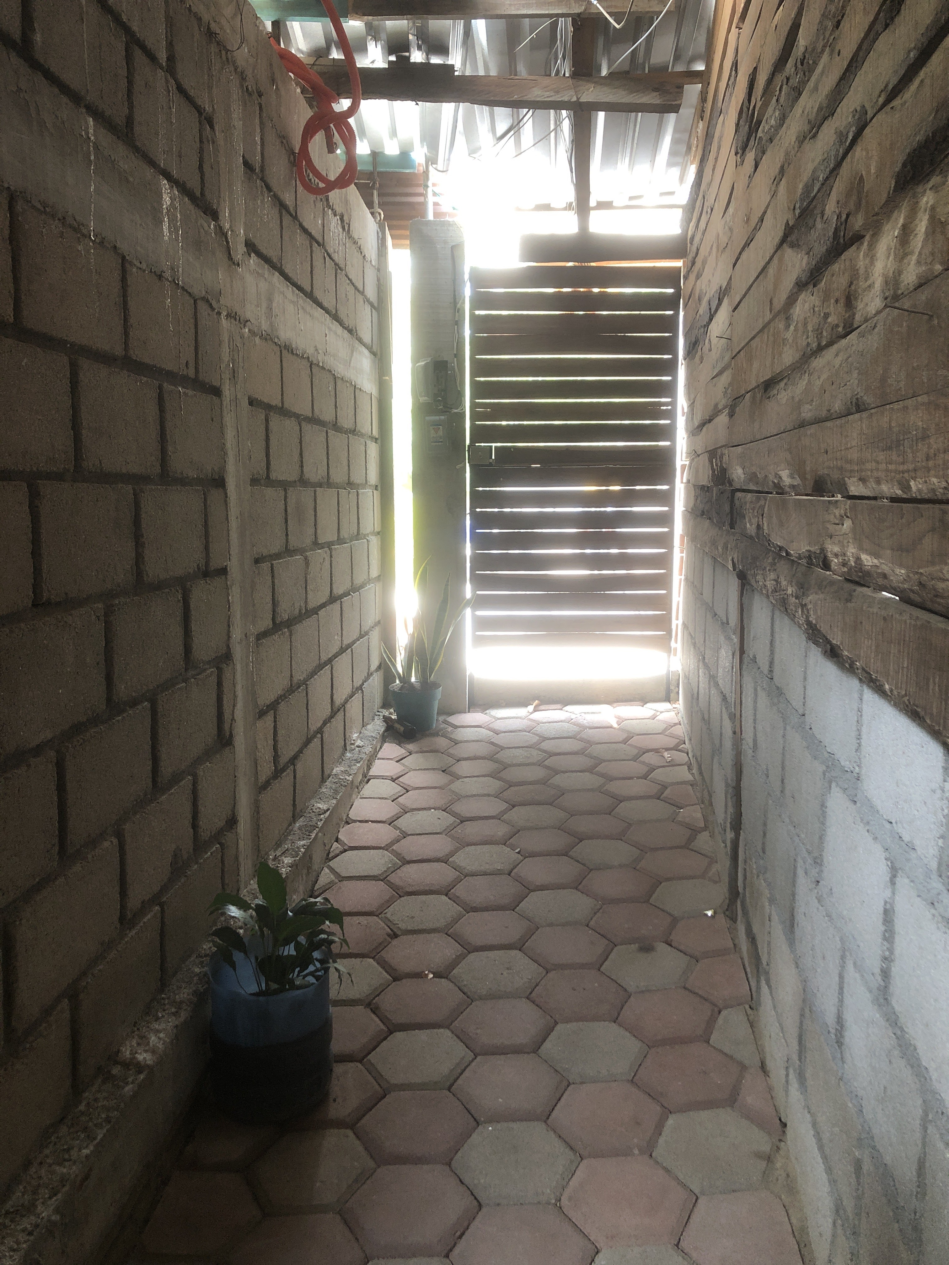 Deposito La perrita Beer image 10