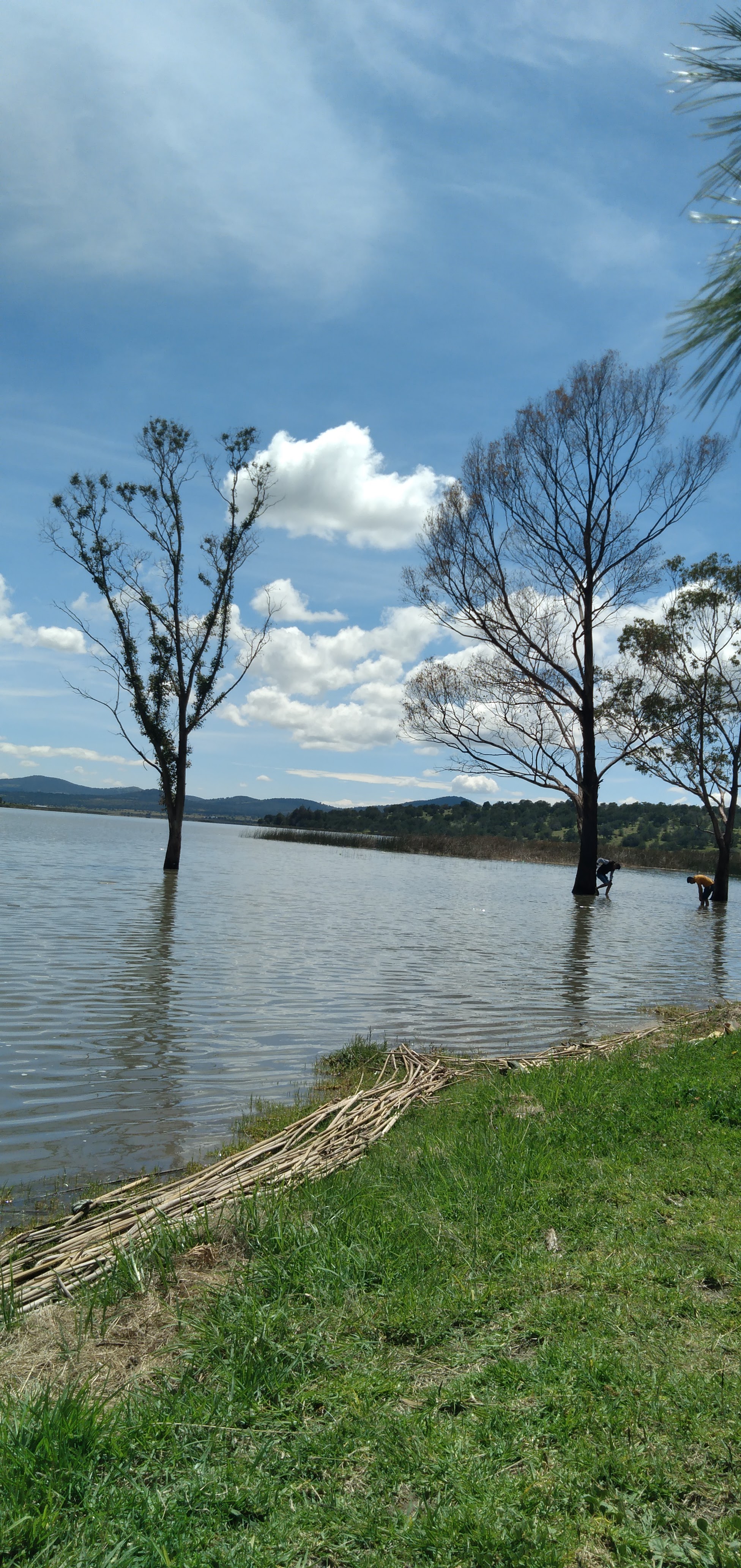 "El Fuerte Apache" image 7