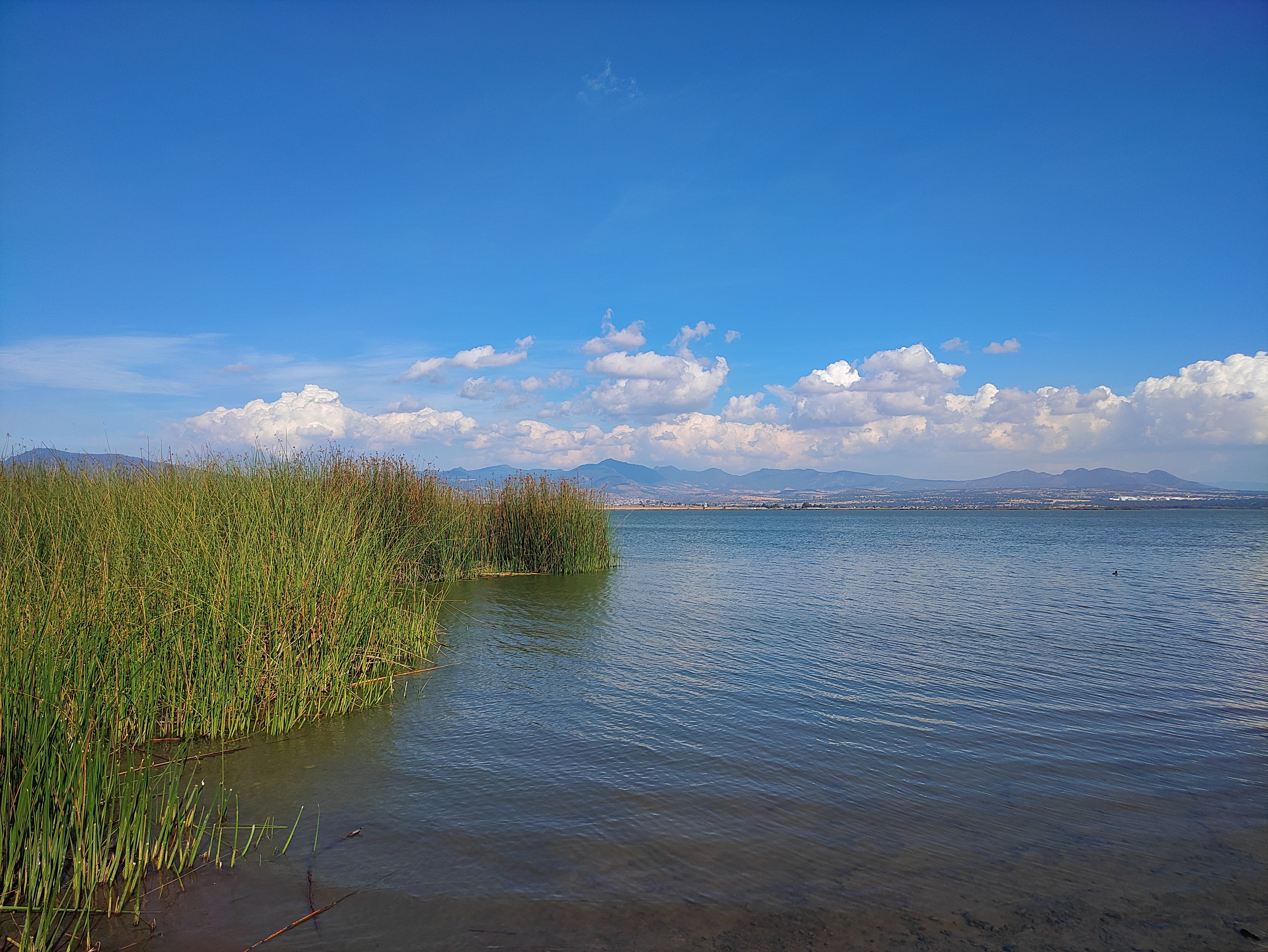 Cabañas "El Apache" image 3